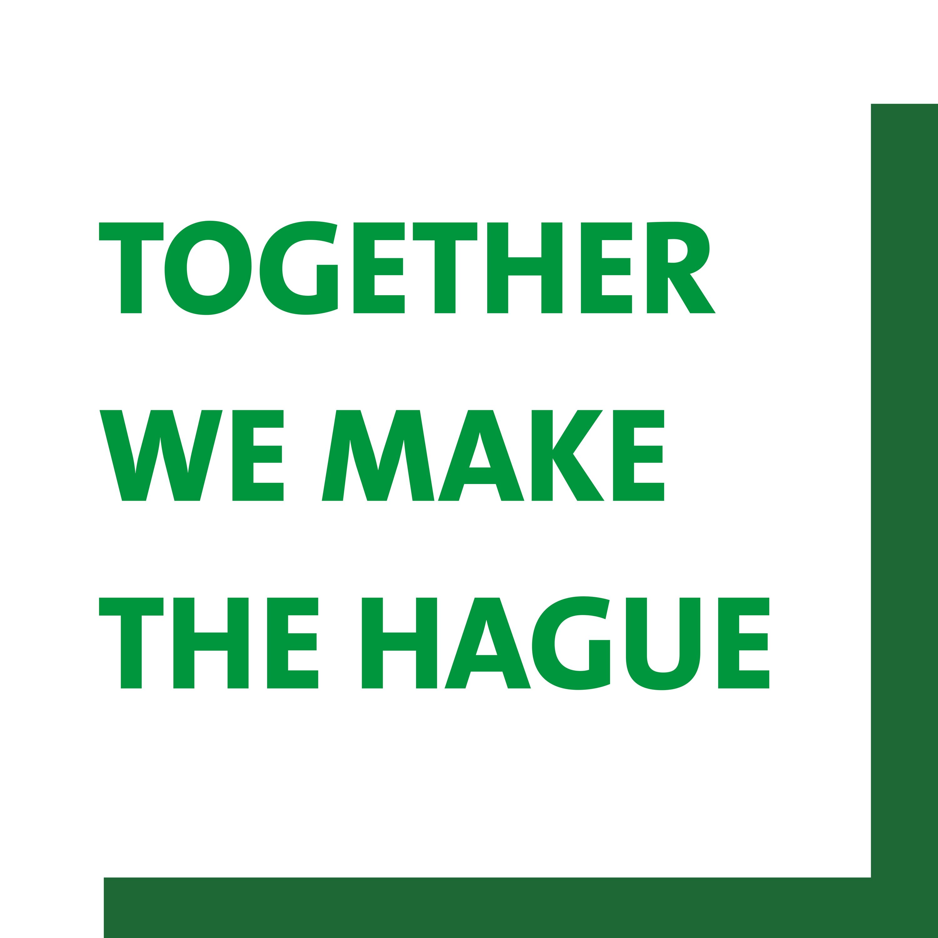 How Bees benefit the world & The Hague’s Impact community