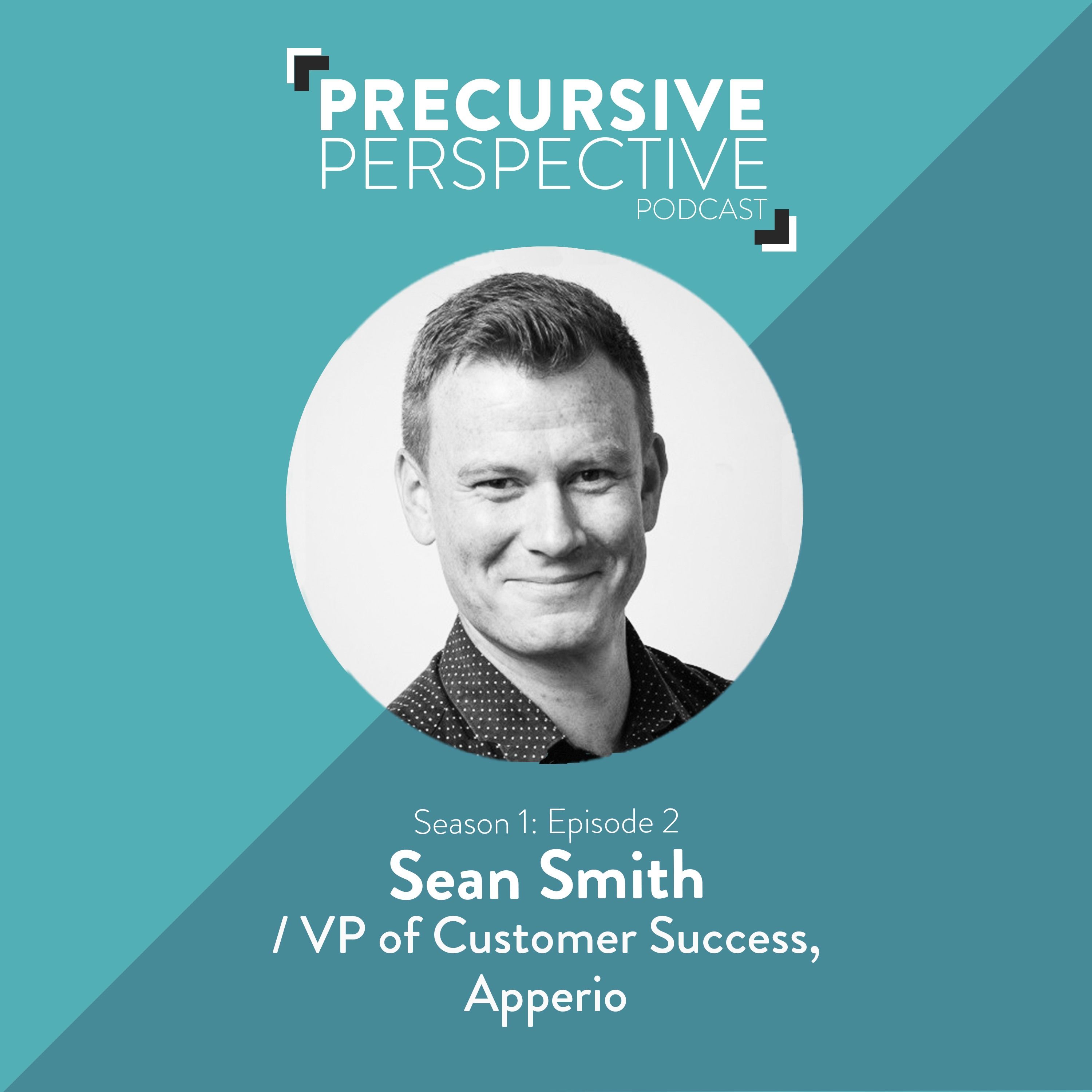 Precursive Perspective | For Professional Services