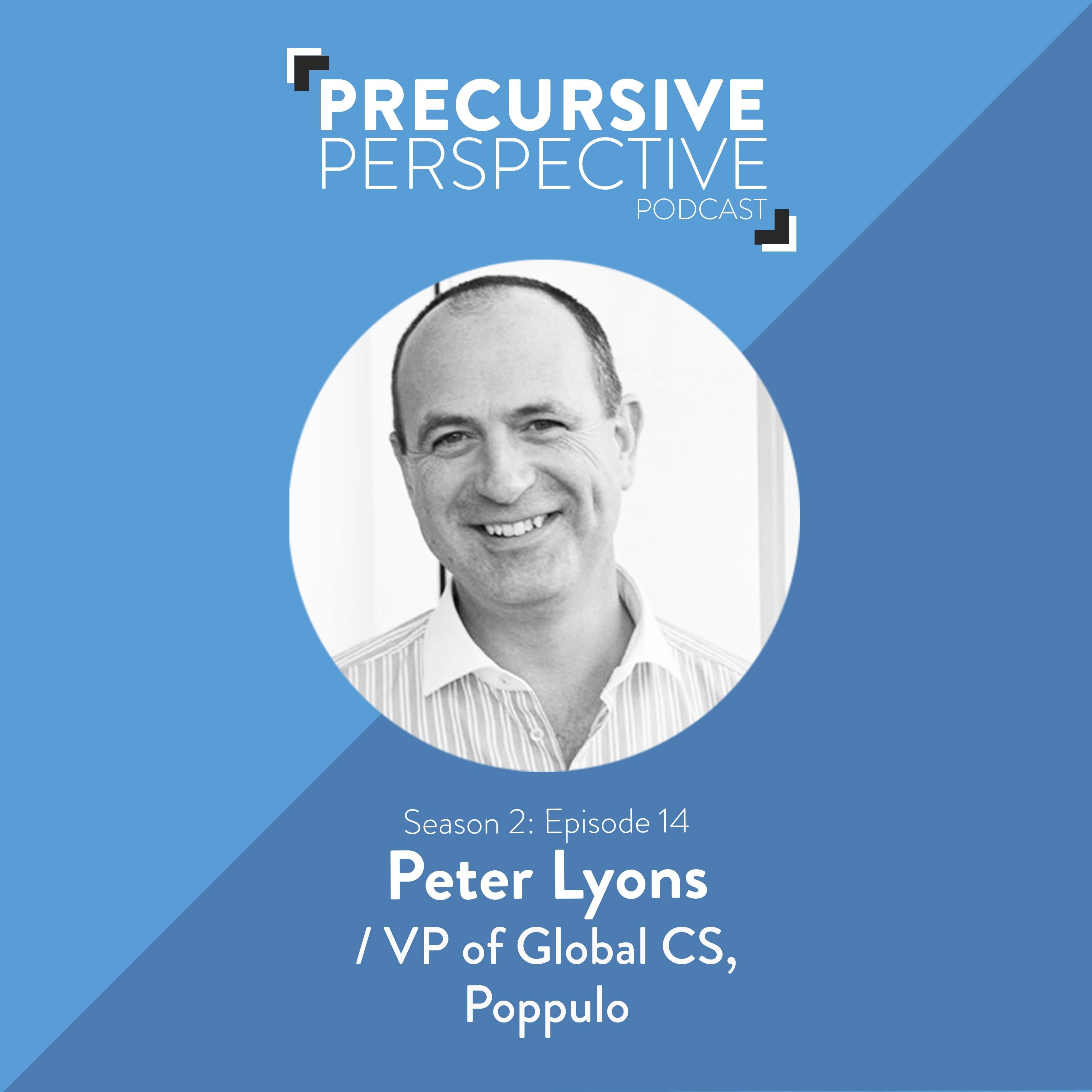 Precursive Perspective | For Professional Services