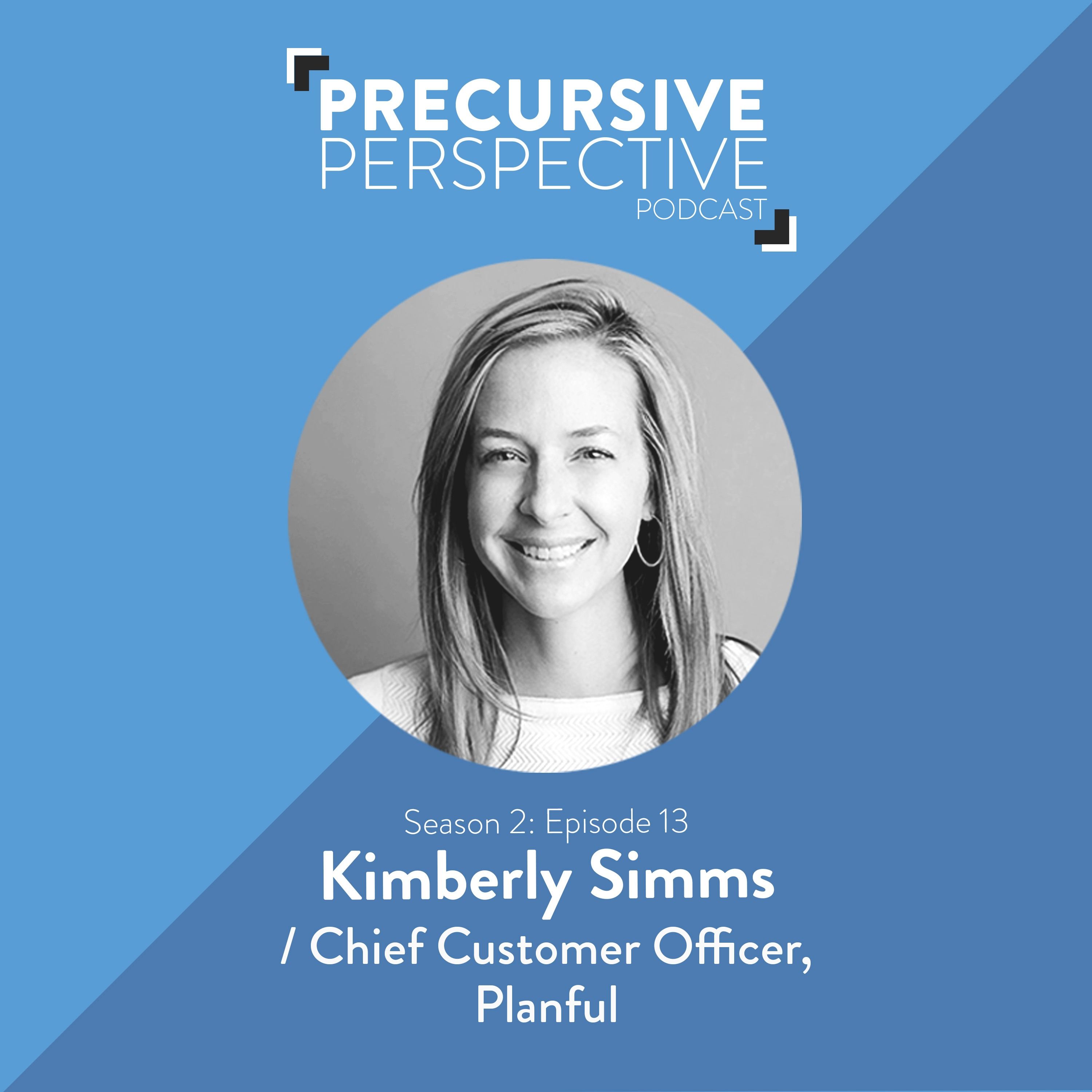 Precursive Perspective | For Professional Services