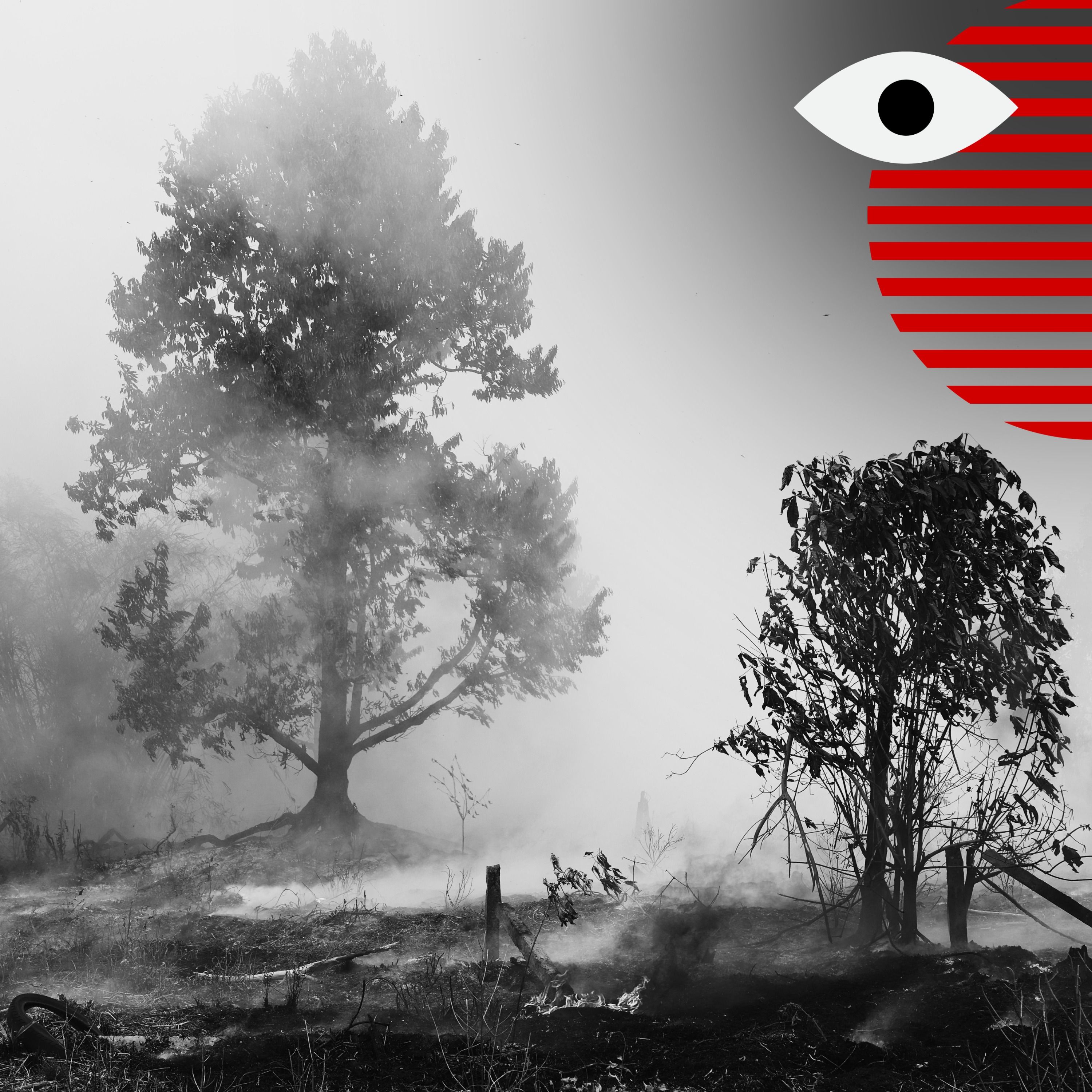 Can we prevent El Niño's 451,000 extra deaths? episode artwork