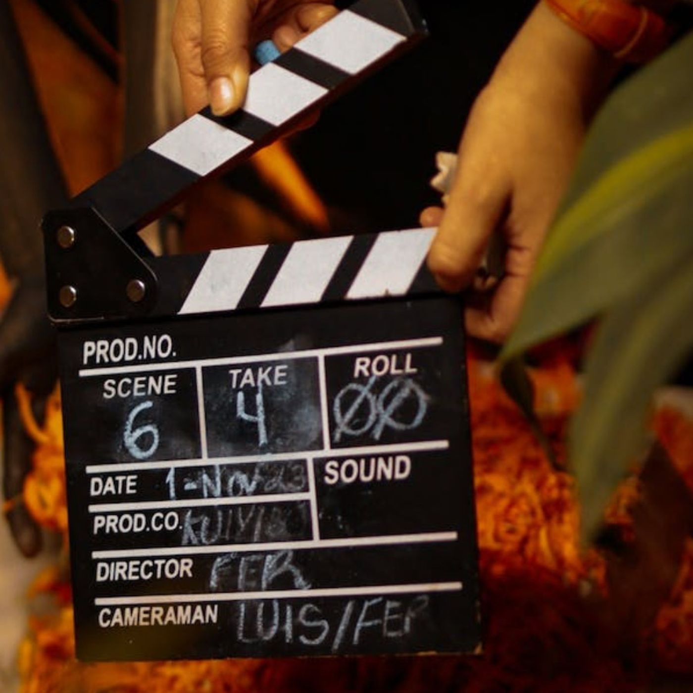 Screenwriting for Dummies