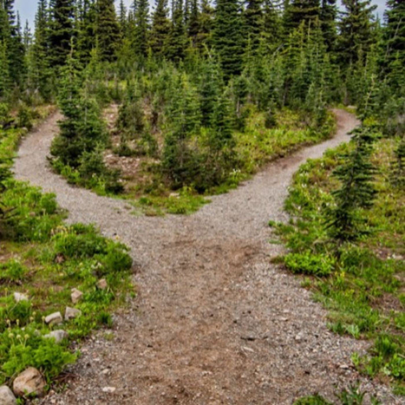 Path to Publishing Part 2