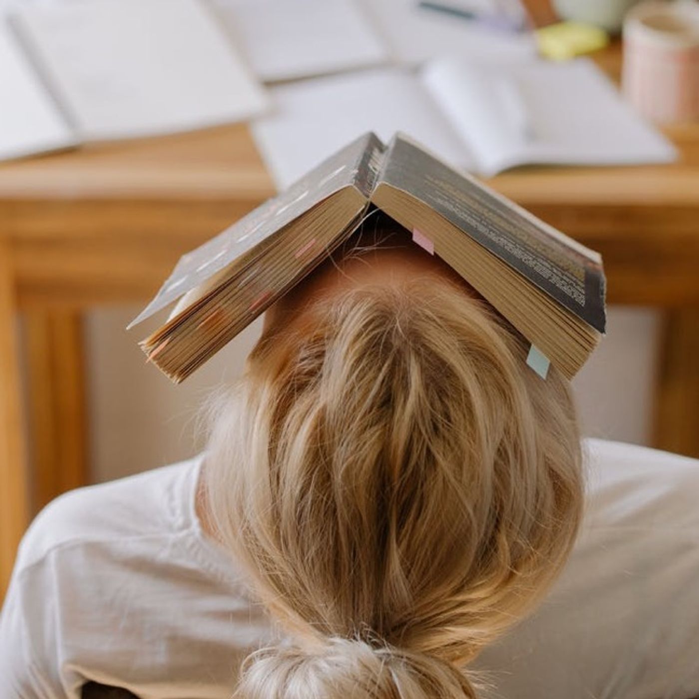 Do You Really Get What You Pay For? Student Loan ROI