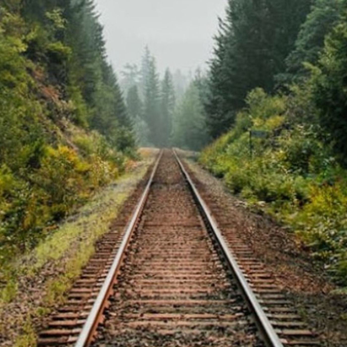 Keep it in Line – linear storytelling
