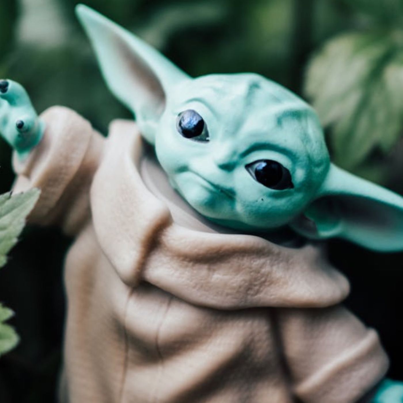 May the Forth Be With You
