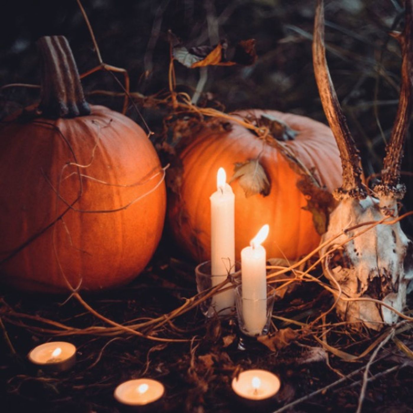 Boo! Halloween Special