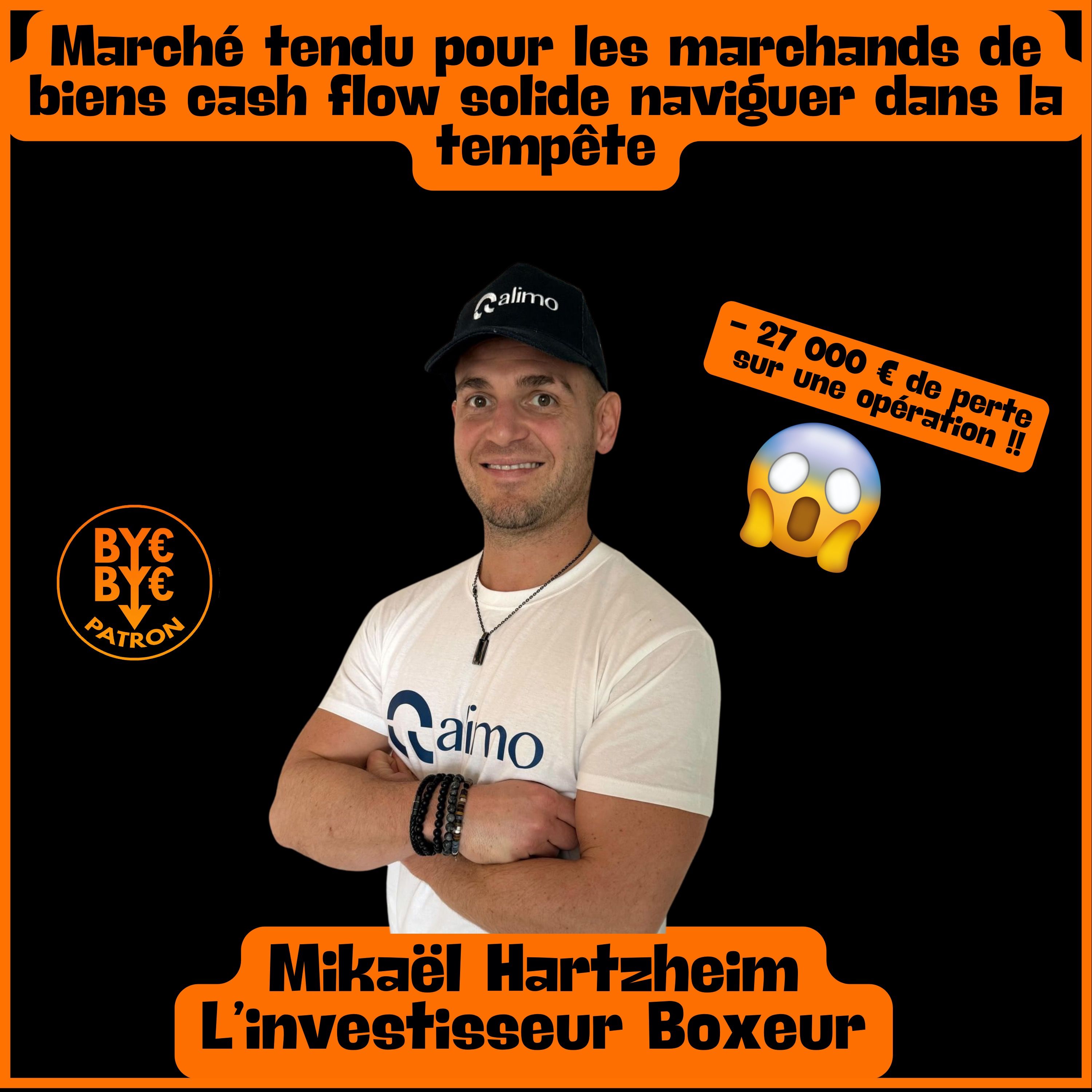 Marché tendu pour les marchands de biens, cash flow solide naviguer dans la tempête - Michael Hartzheim