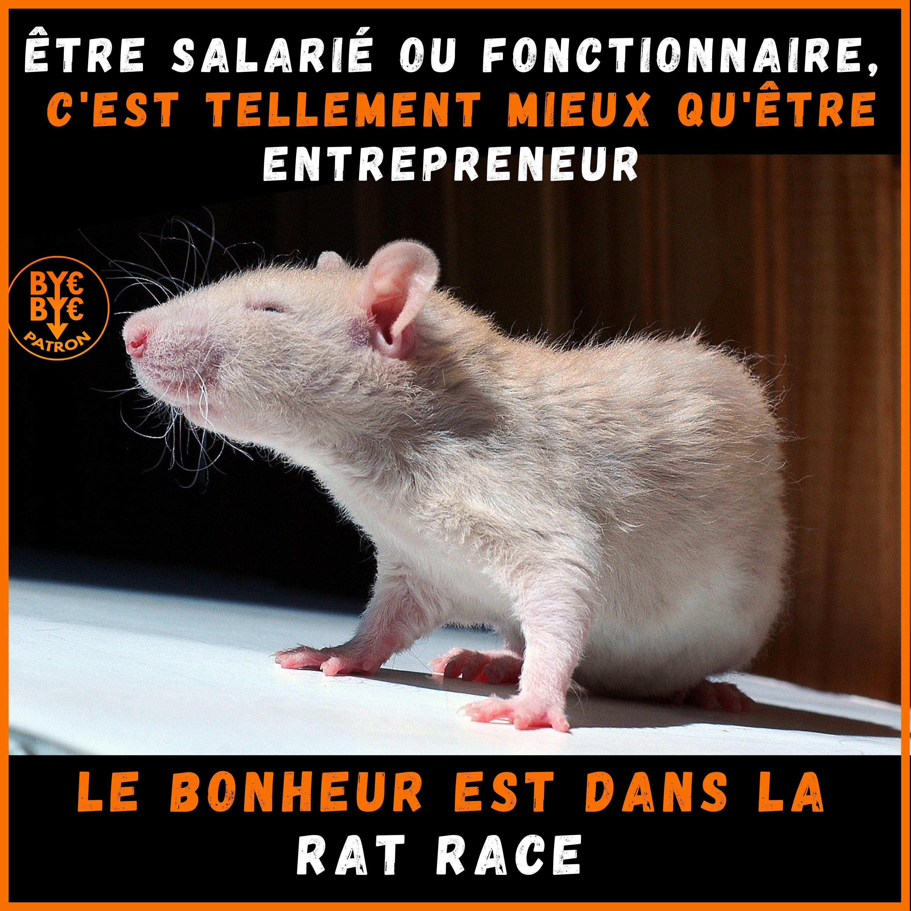 Le bonheur est dans la rate race - Être salarié ou fonctionnaire, c'est tellement mieux qu'être entrepreneur