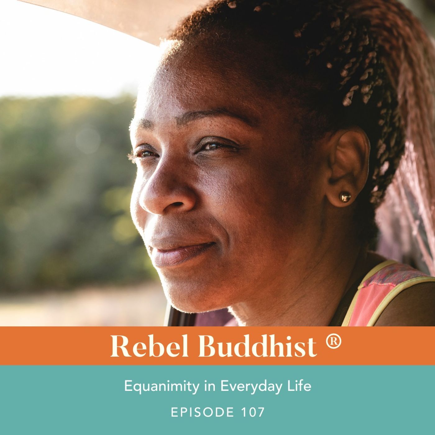 Equanimity in Everyday Life