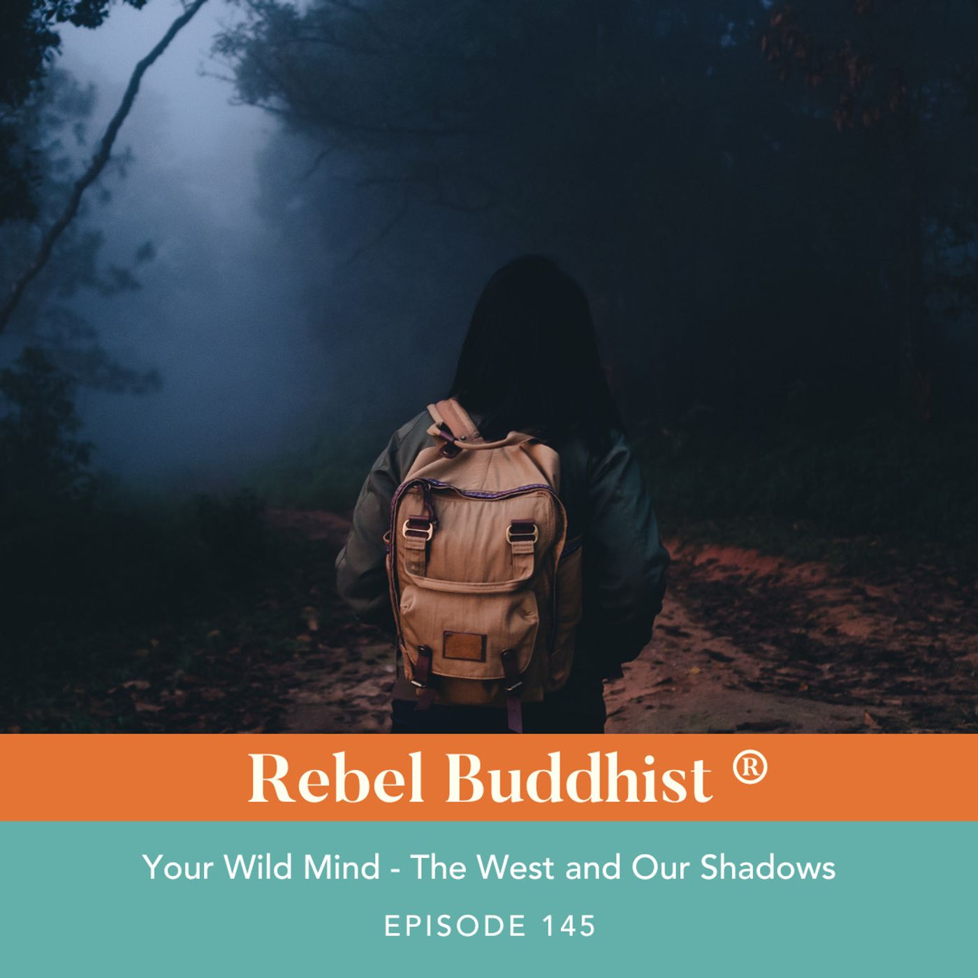 Your Wild Mind - The West and Our Shadows