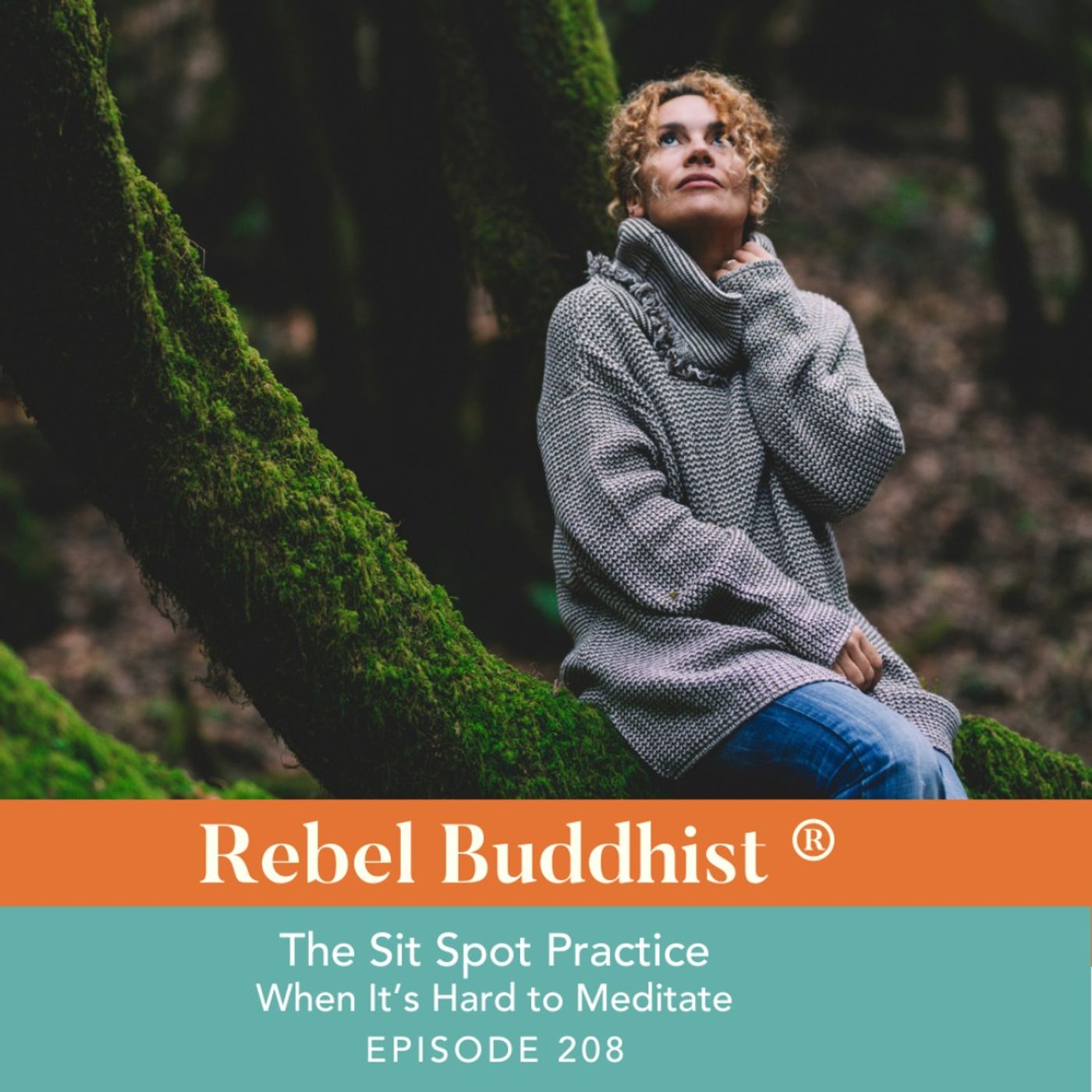 The Sit Spot Practice - When It’s Hard to Meditate