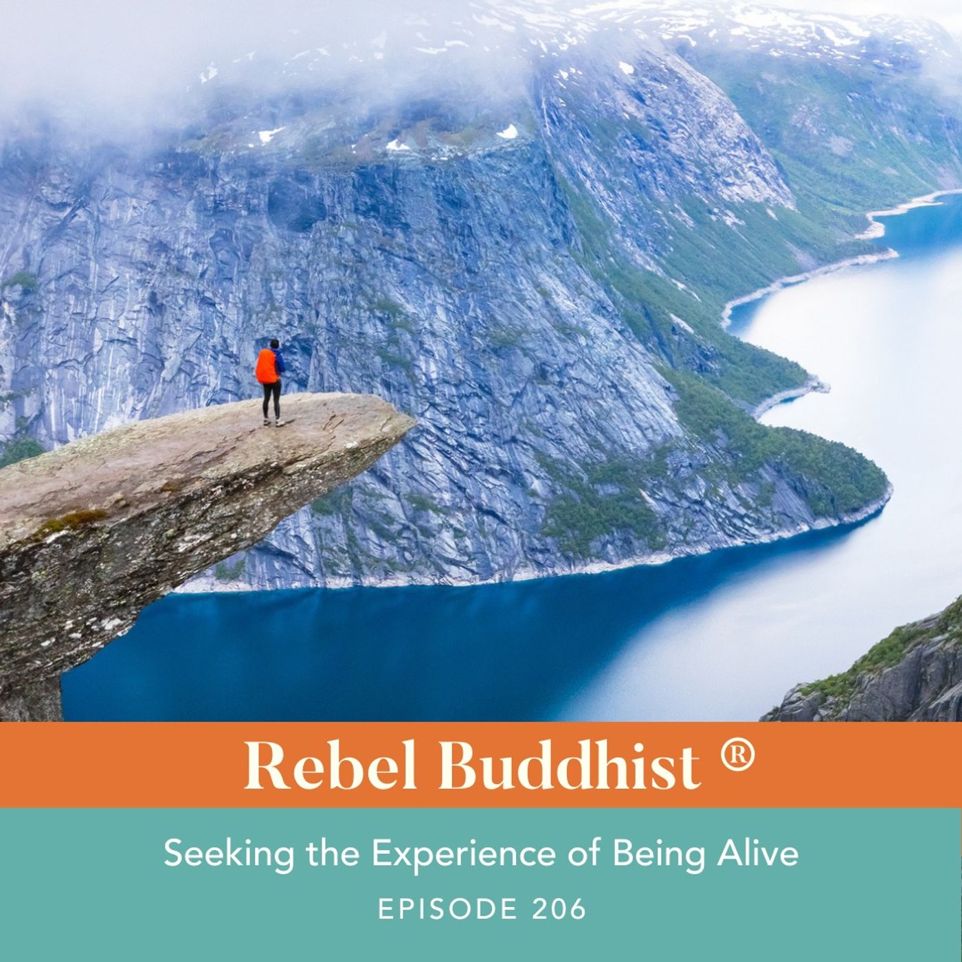 Seeking the Experience of Being Alive
