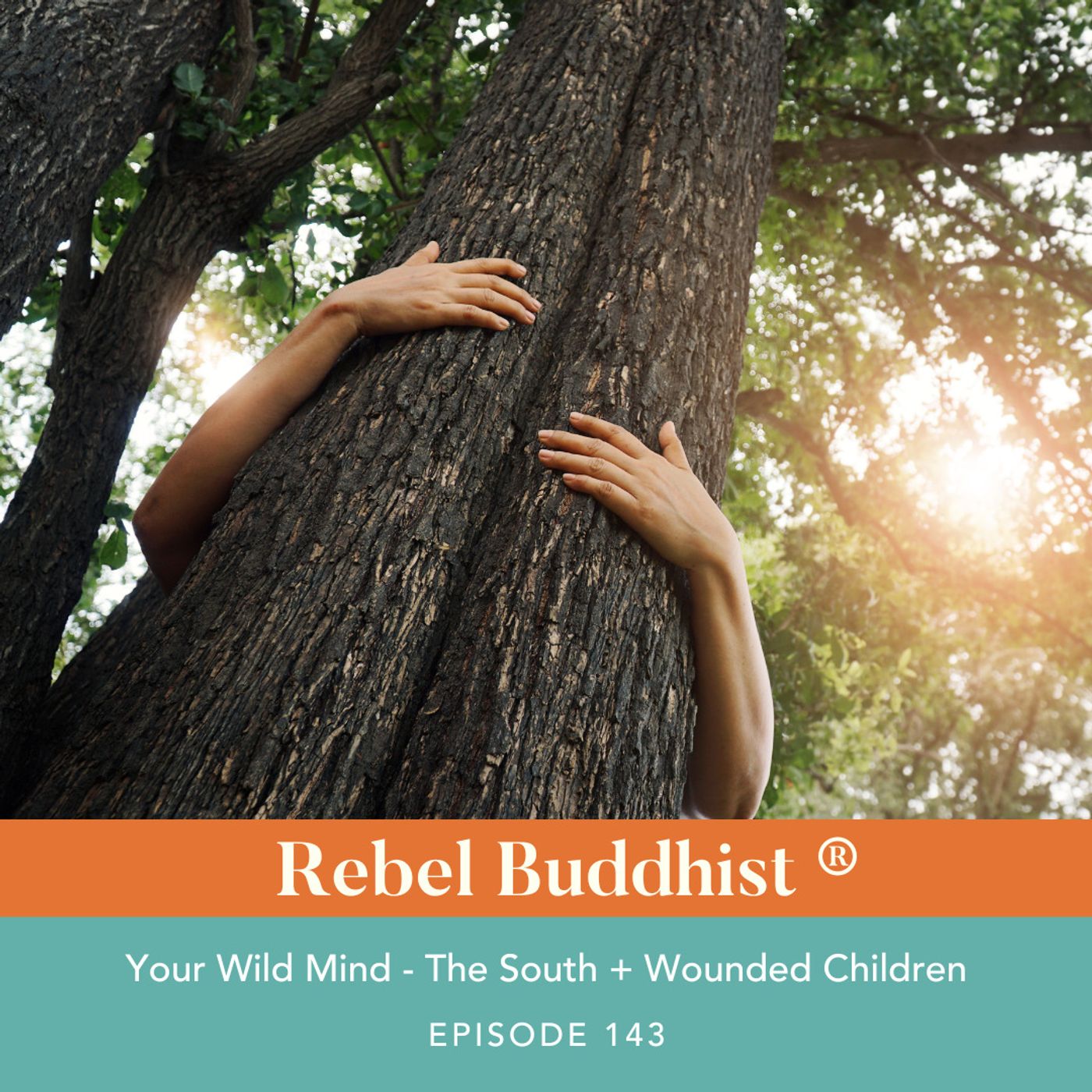 Your Wild Mind - The South + Wounded Children