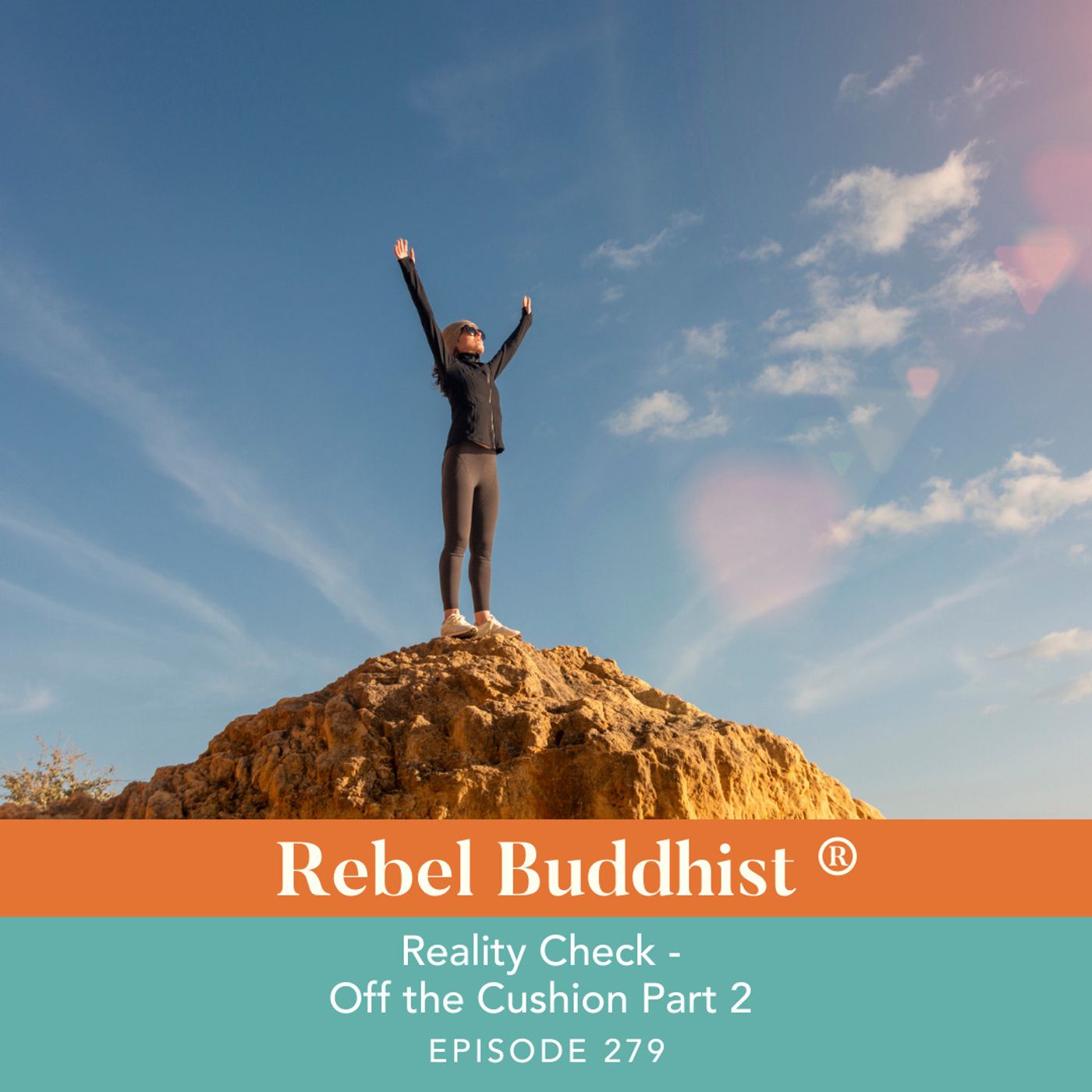 Reality Check - Off the Cushion + Into the World Part 2
