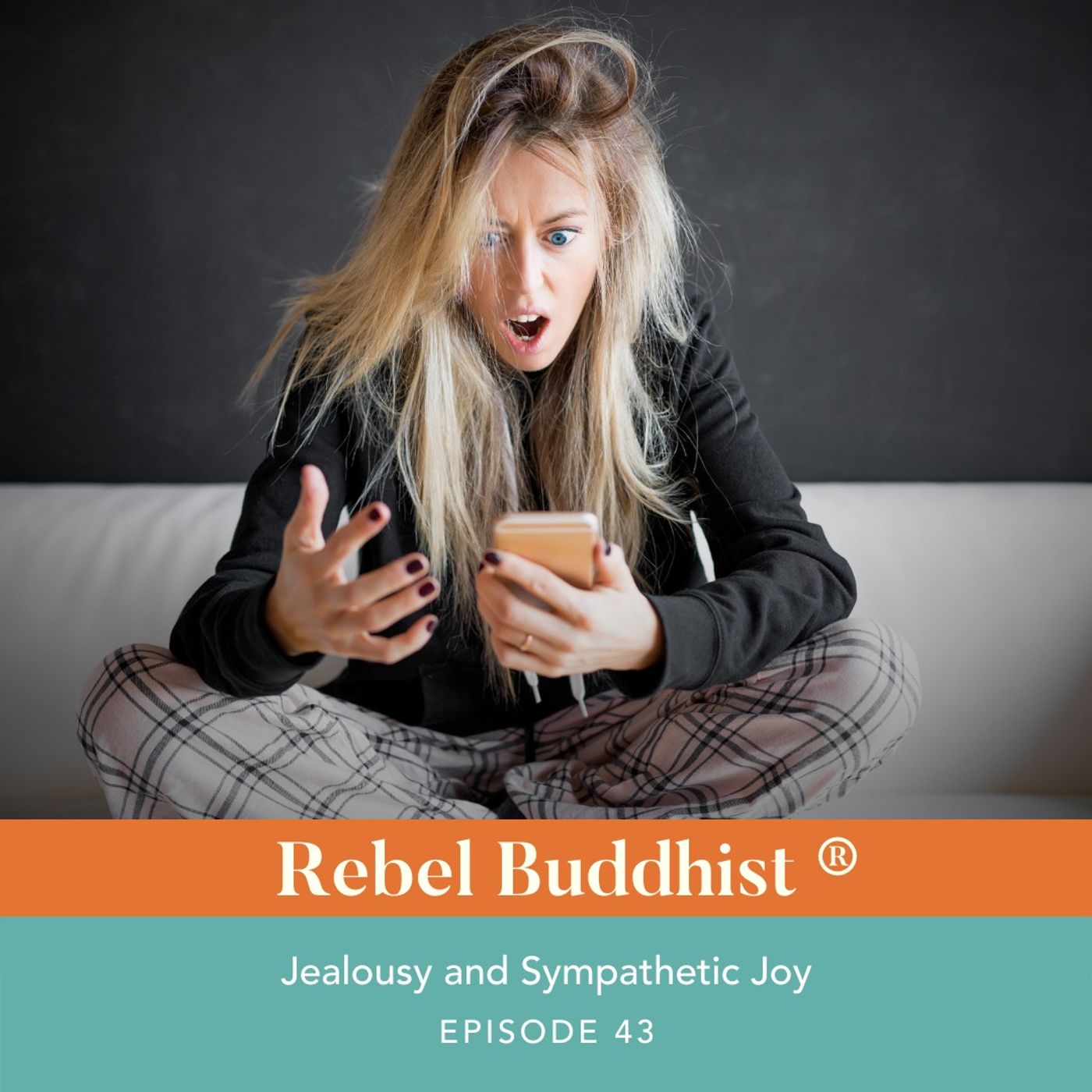 Jealousy and Sympathetic Joy