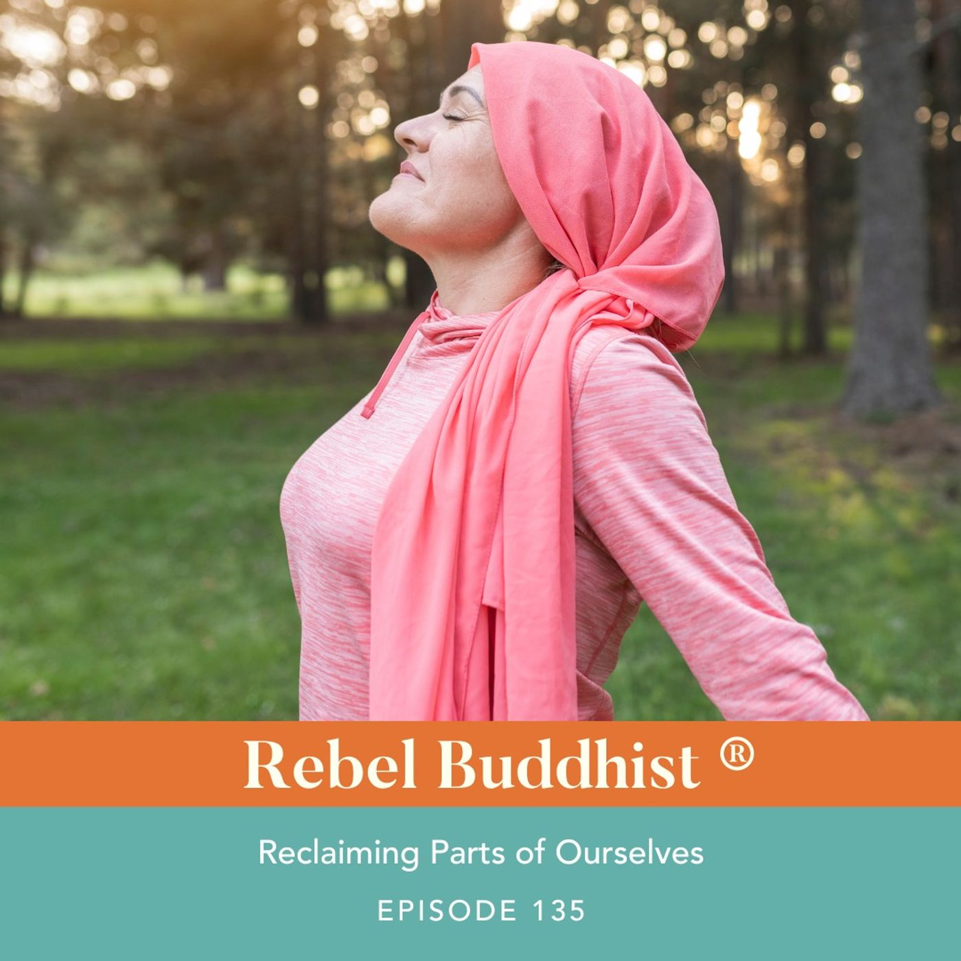 Reclaiming Parts of Ourselves