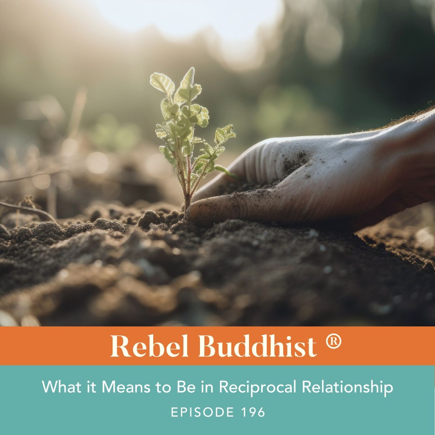 What it Means to be in Reciprocal Relationship