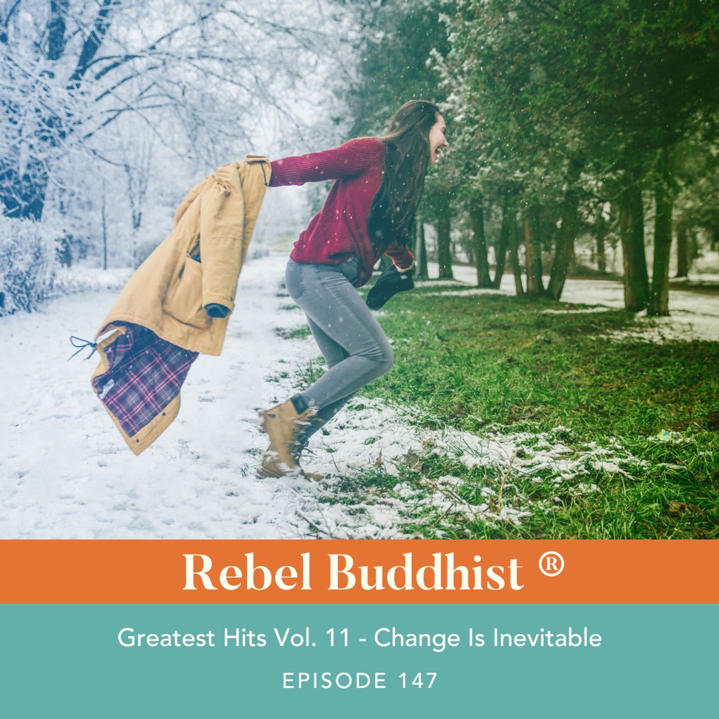 Greatest Hits Vol. 11 -  Change is Inevitable