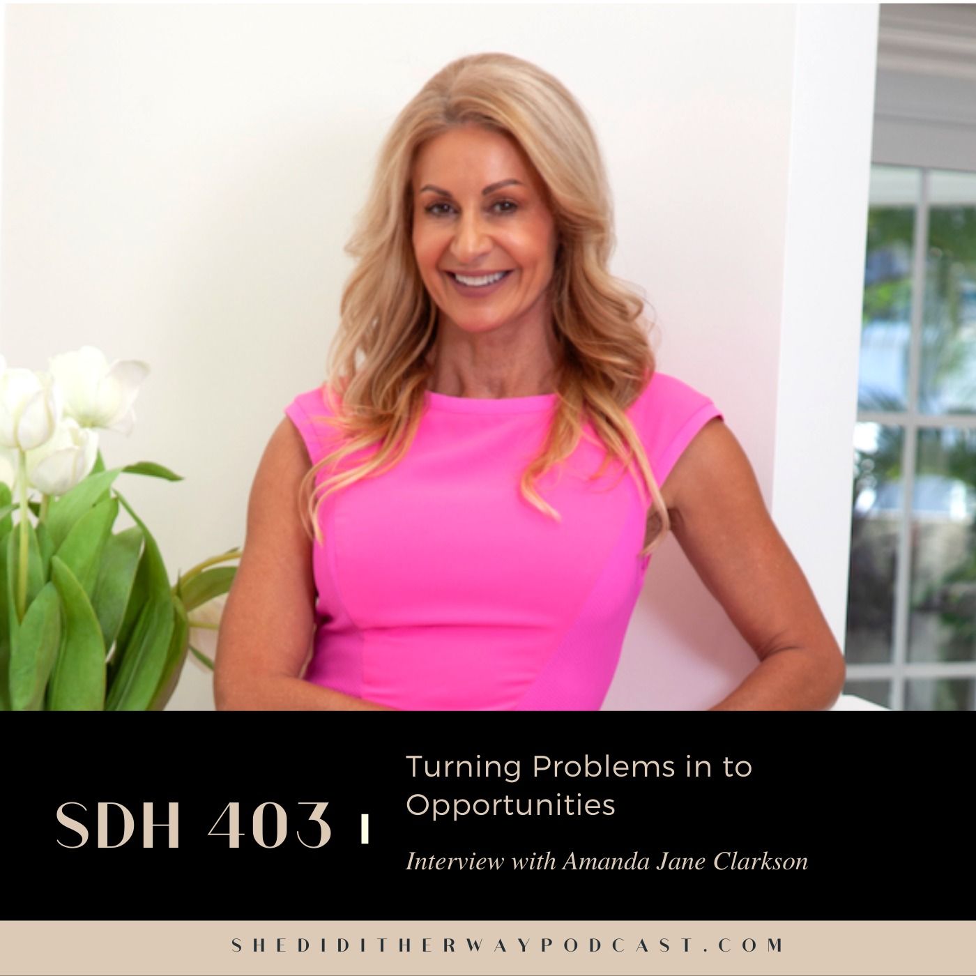 SDH 403: Turning Problems in to Opportunities with Amanda Jane Clarkson episode artwork