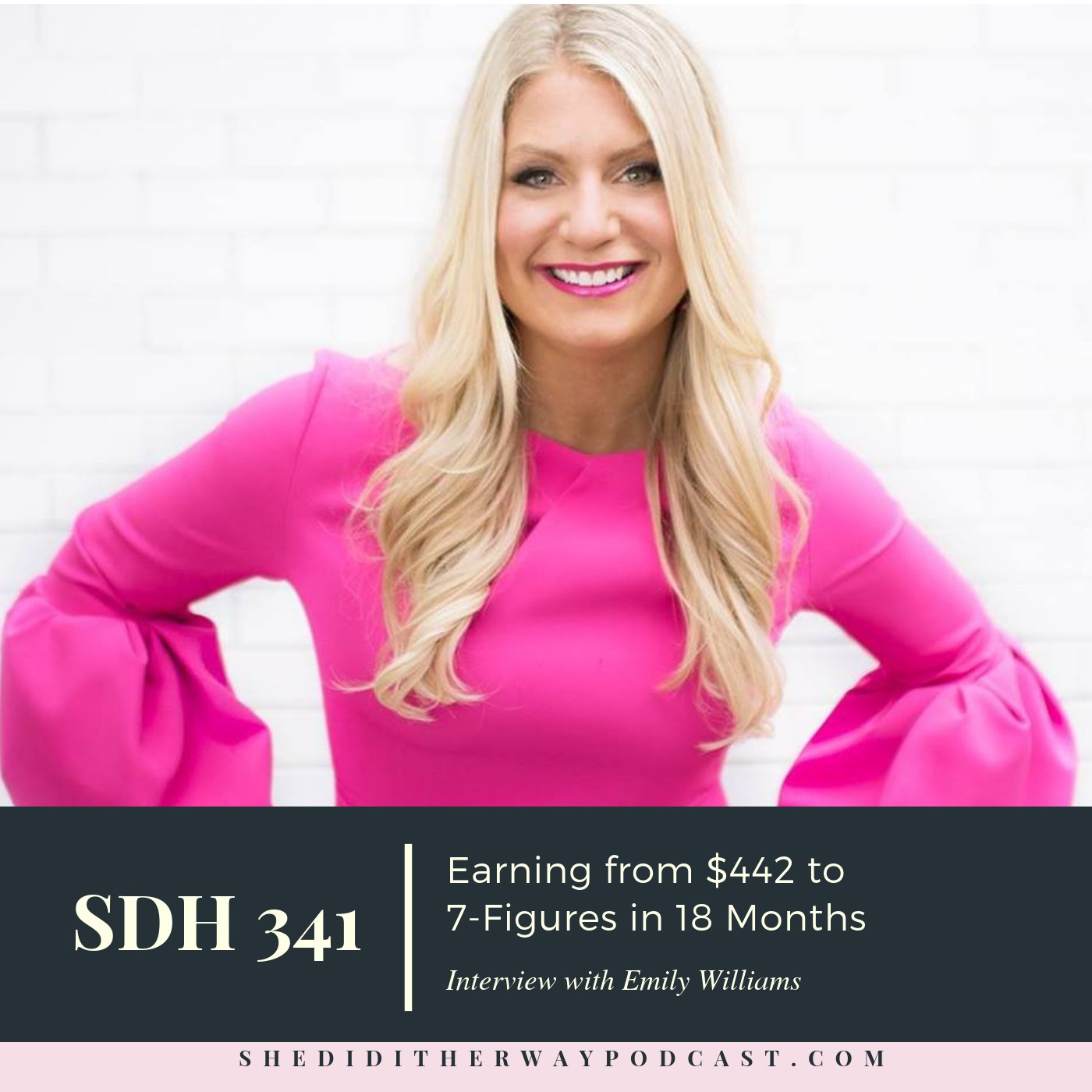 SDH 341: Earning from $442 to 7-Figures in 18 Months with Emily Williams episode artwork