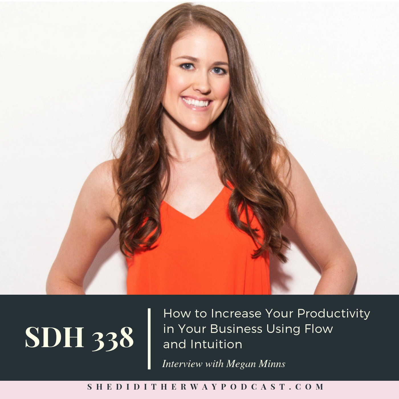 SDH 338: How to Increase Your Productivity in Your Business Using Flow and Intuition episode artwork