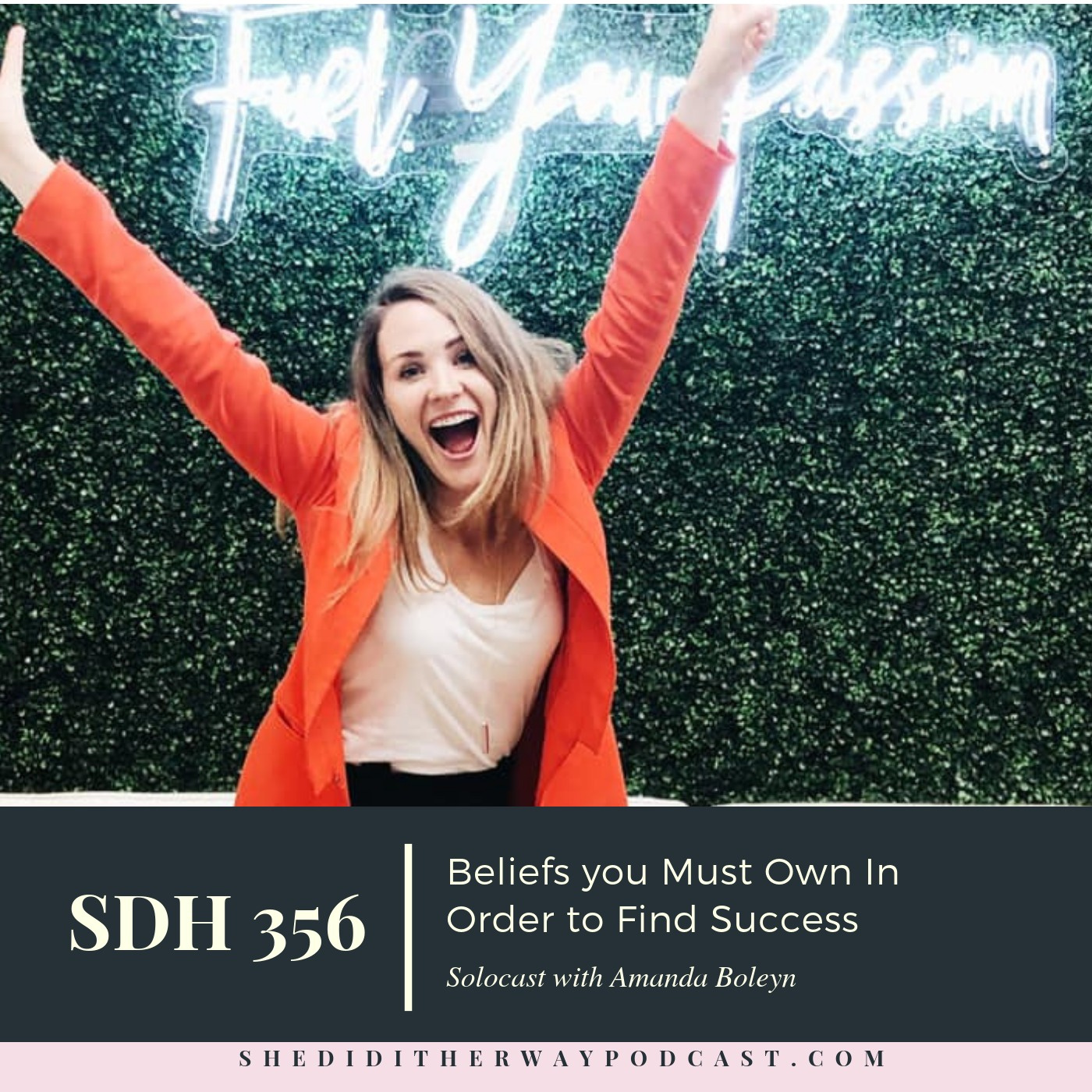 SDH 356: Beliefs You Must Own In Order to Find Success episode artwork