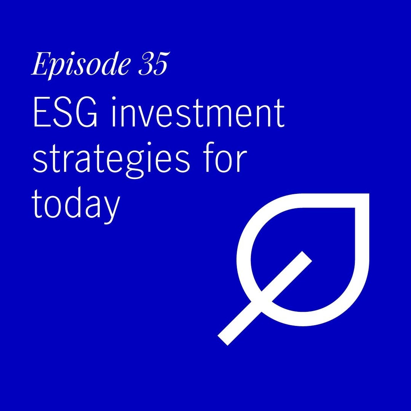 Portfolio Intelligence Podcast