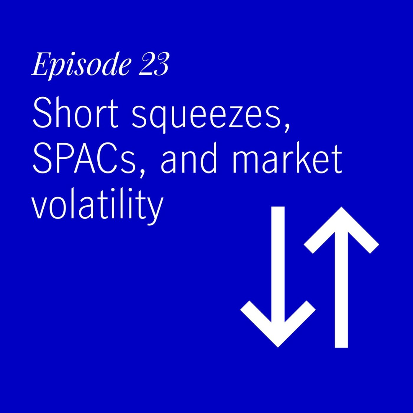 Portfolio Intelligence Podcast