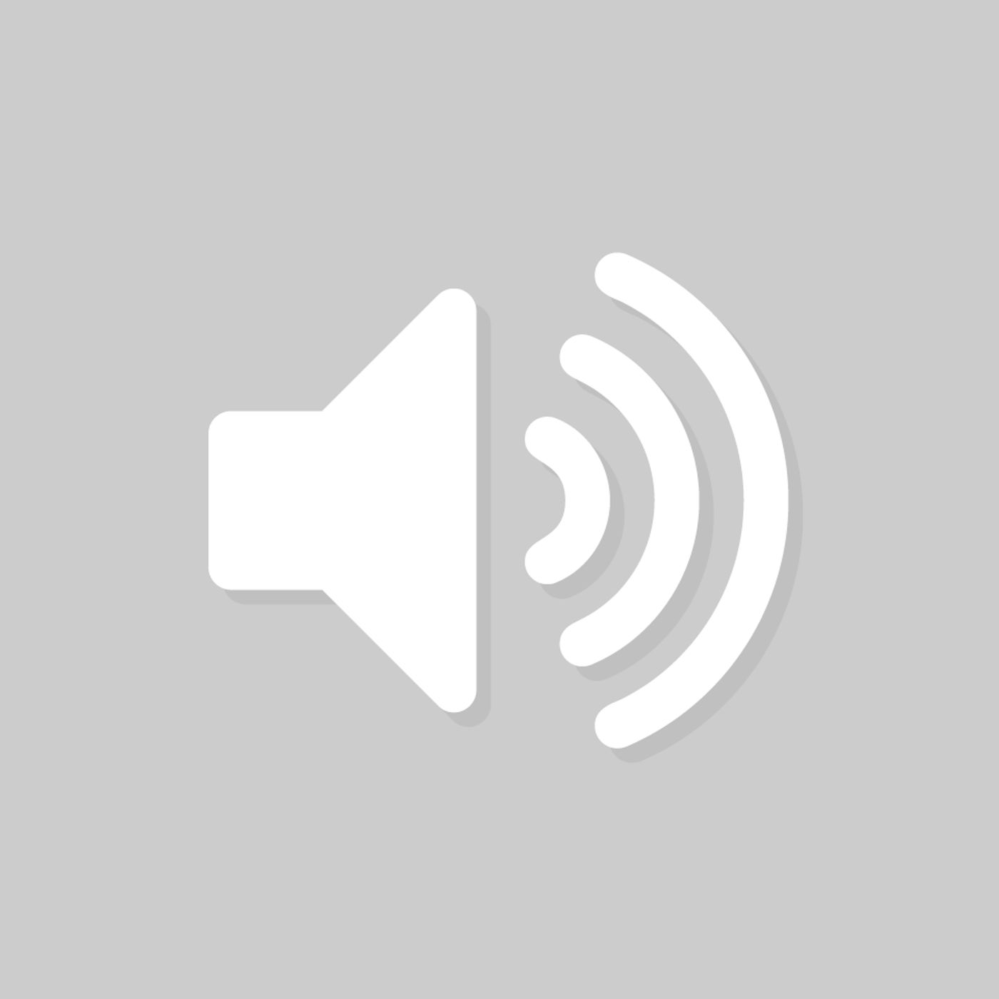 Chasing Elephants Podcast