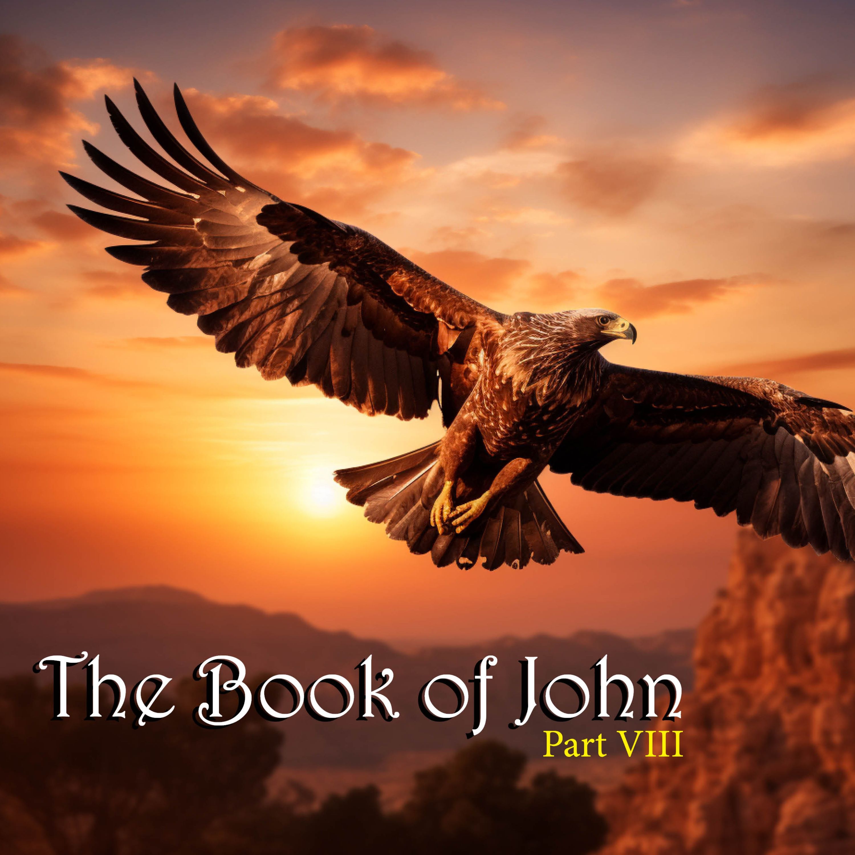 The Book of John Chap17 Aug 27 2023
