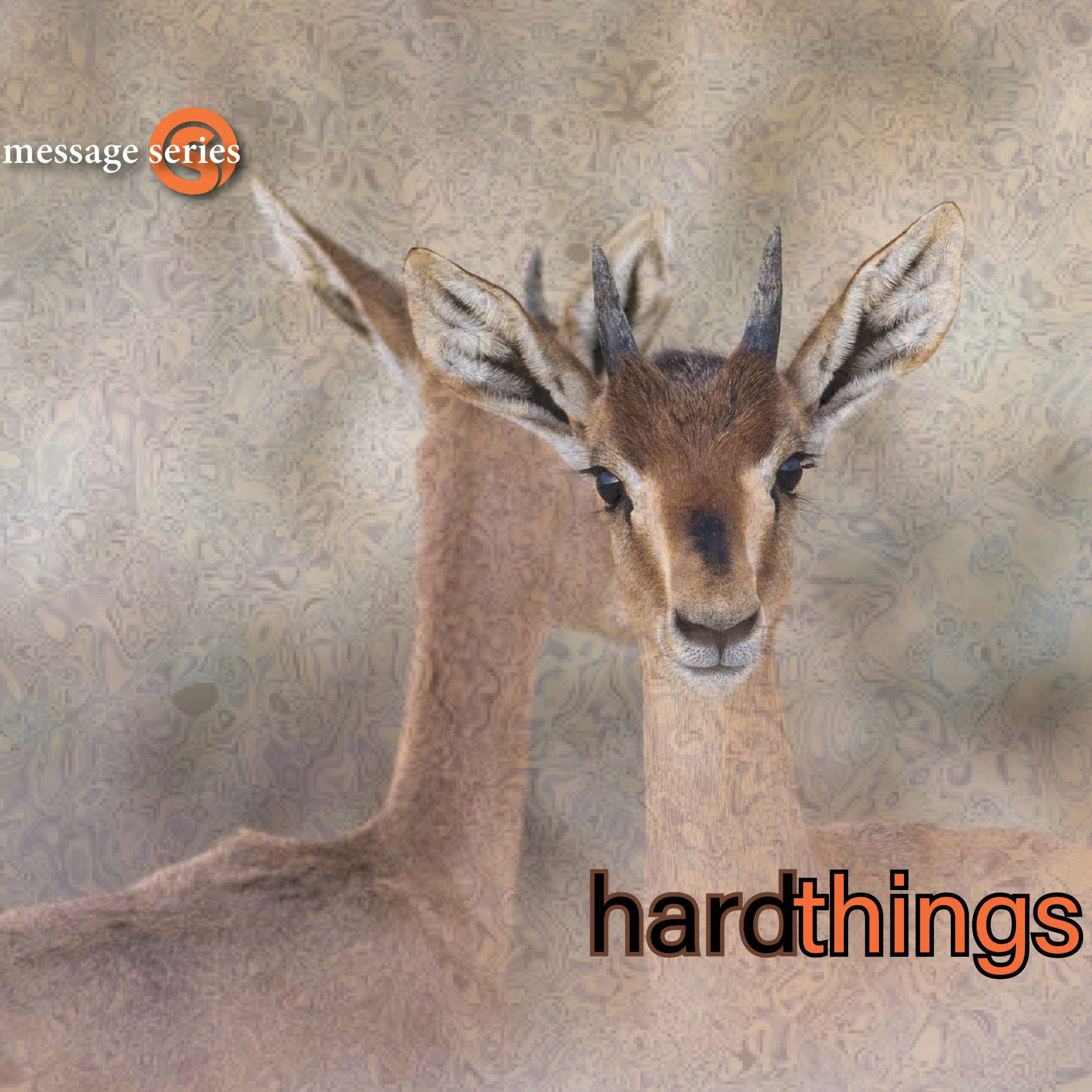 Hard Things Two, Mar2021, The Surge