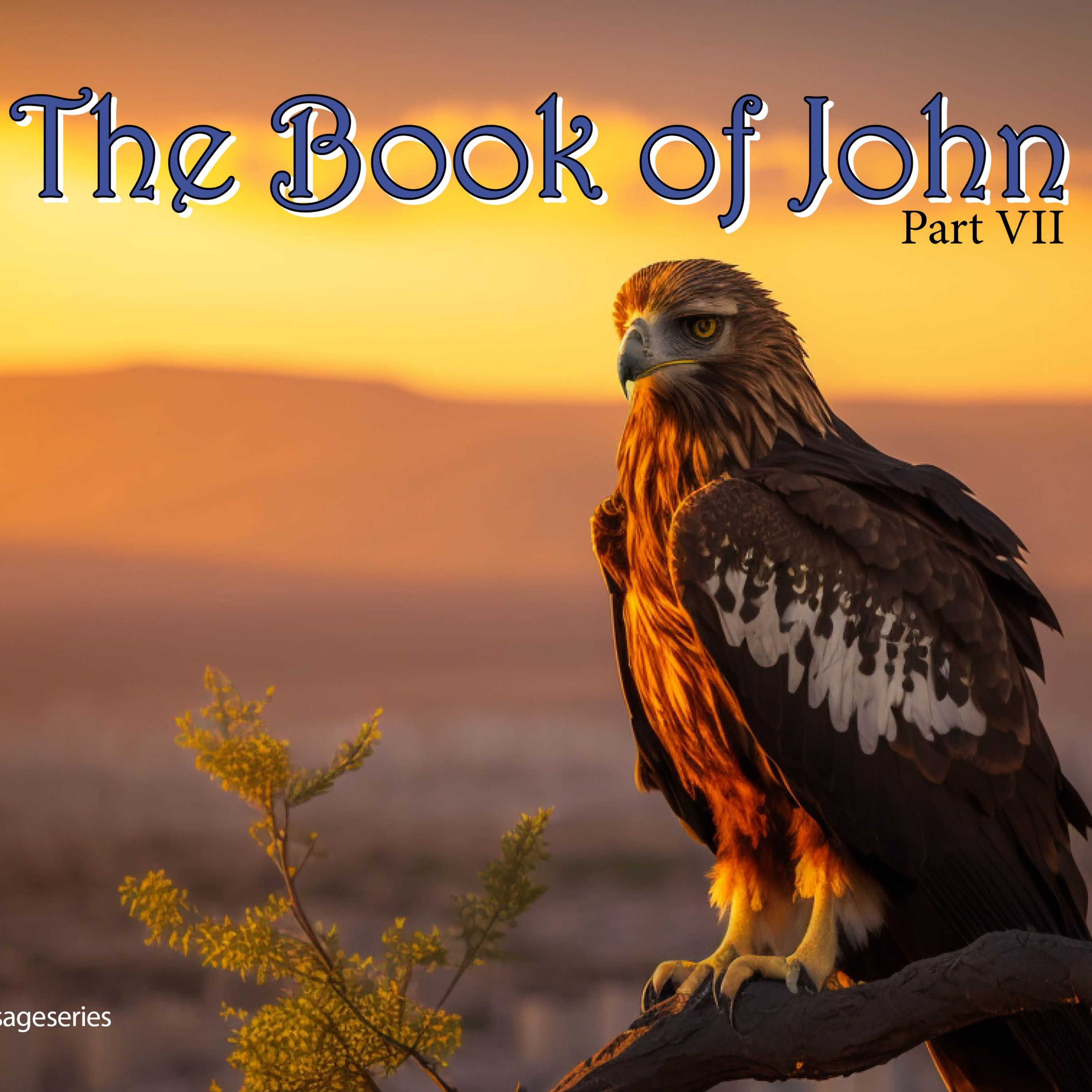 Book of John Chap14 Apr30 2023