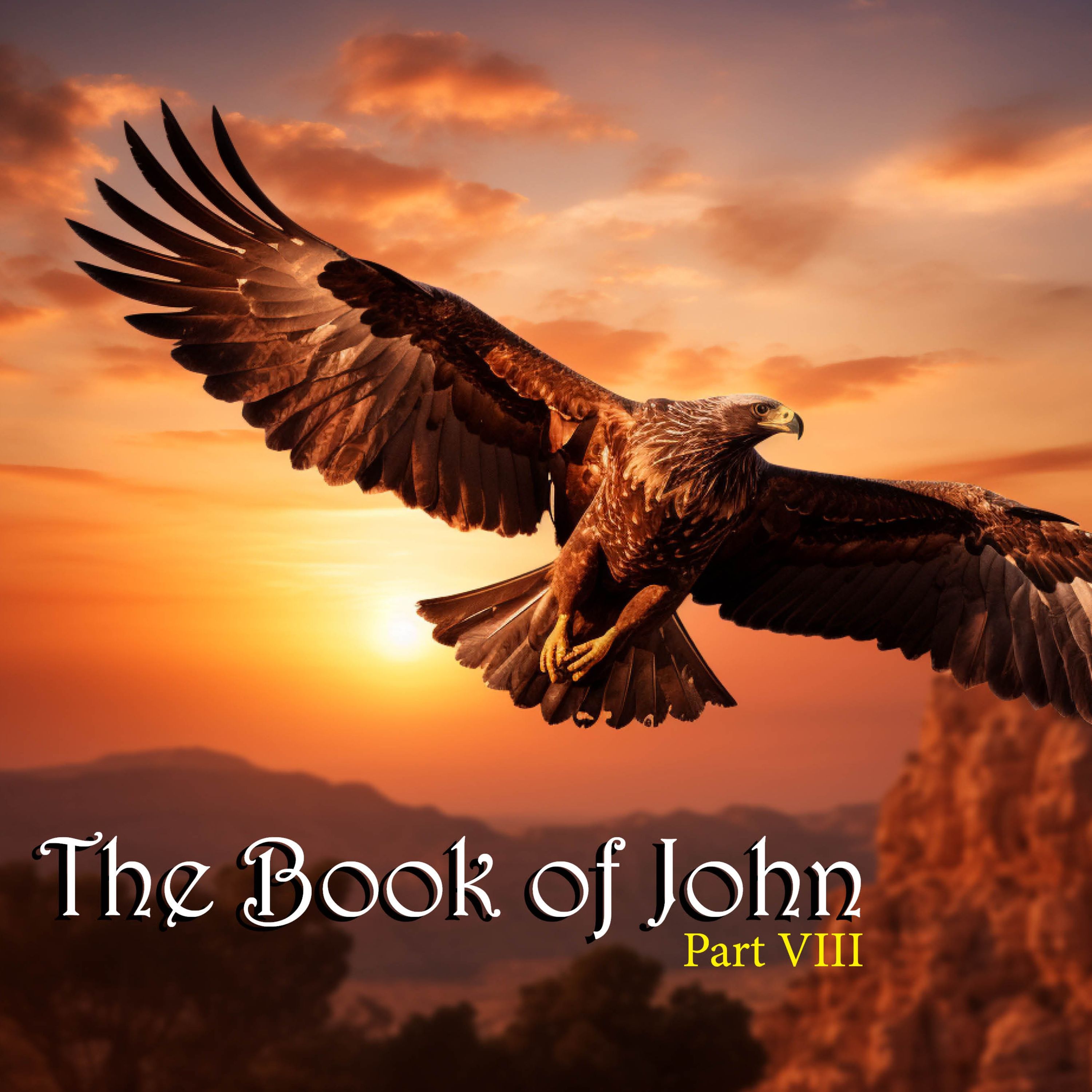 The Book of John Chap17 Sept 3