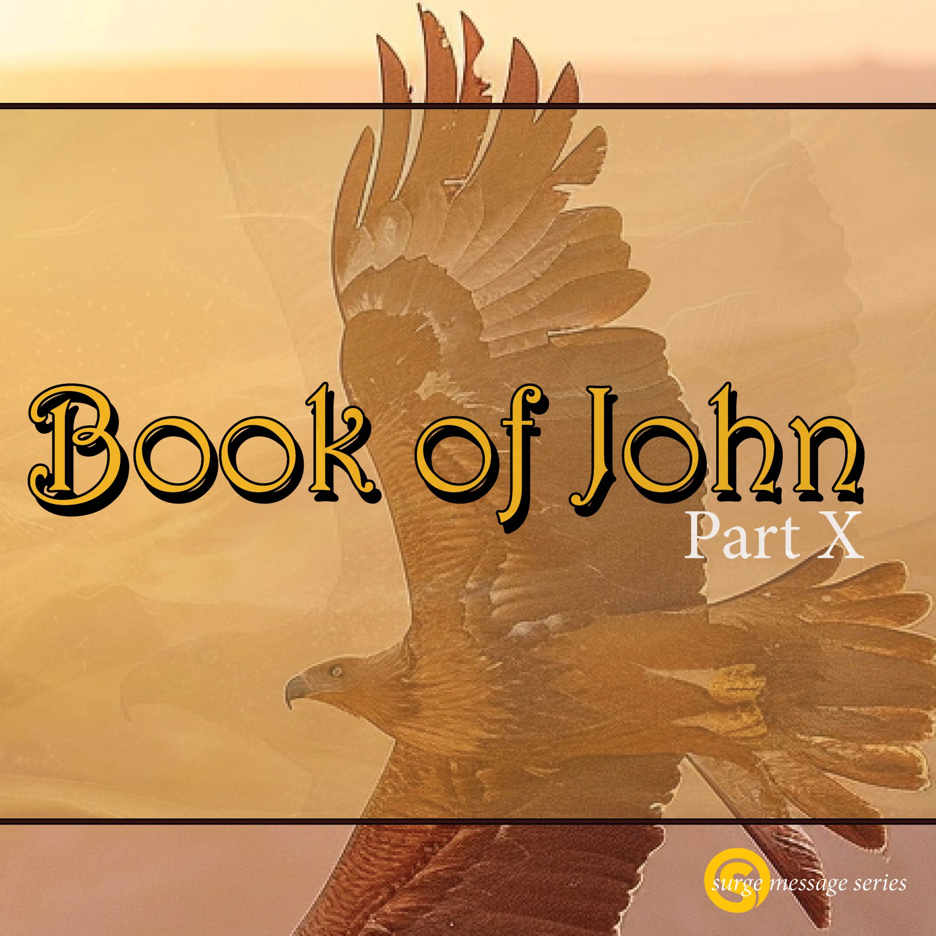 Book of John Chap 20 May 12th 2024