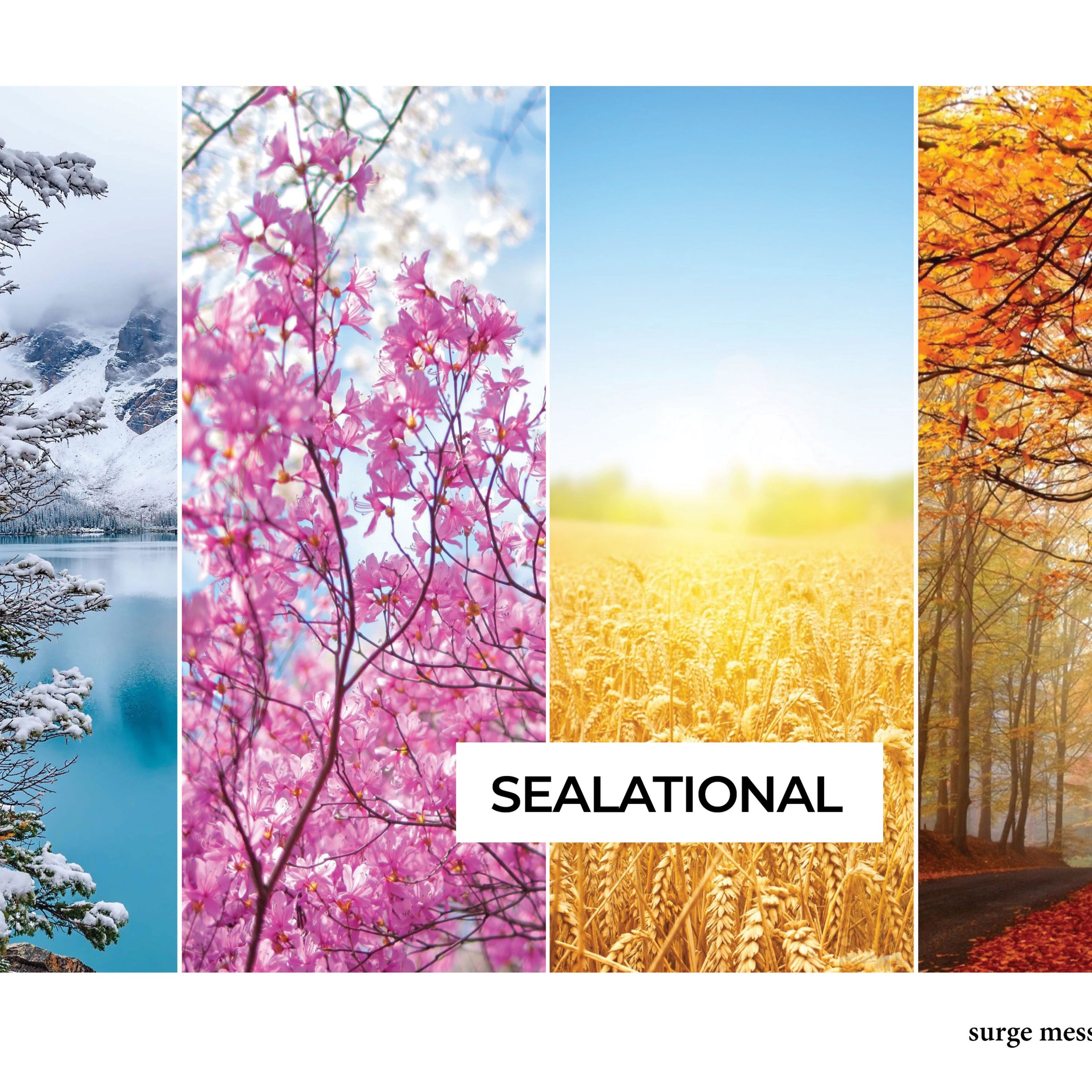Sealational Three: Romance