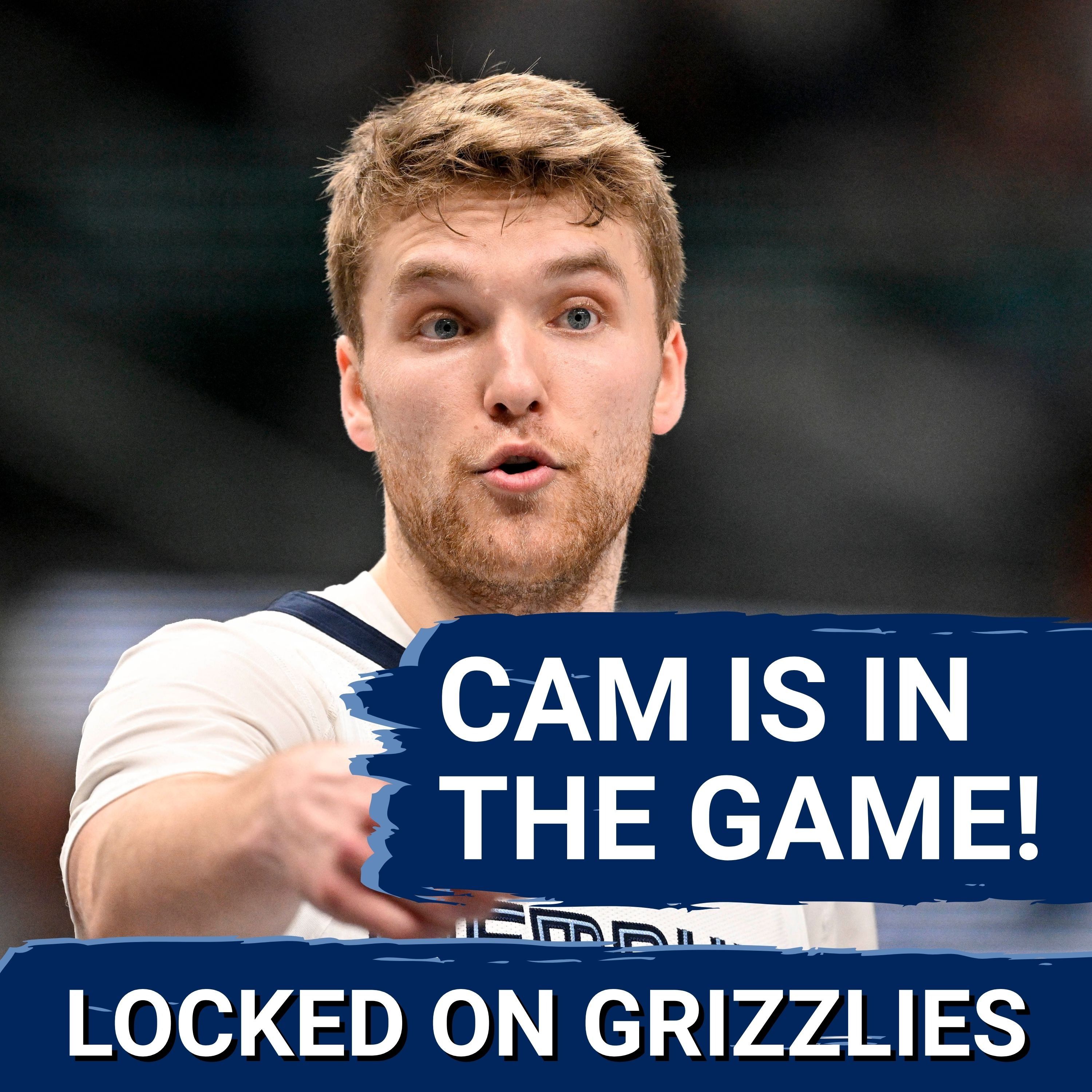 Ranking the Memphis Grizzlies both virtually and in the real world