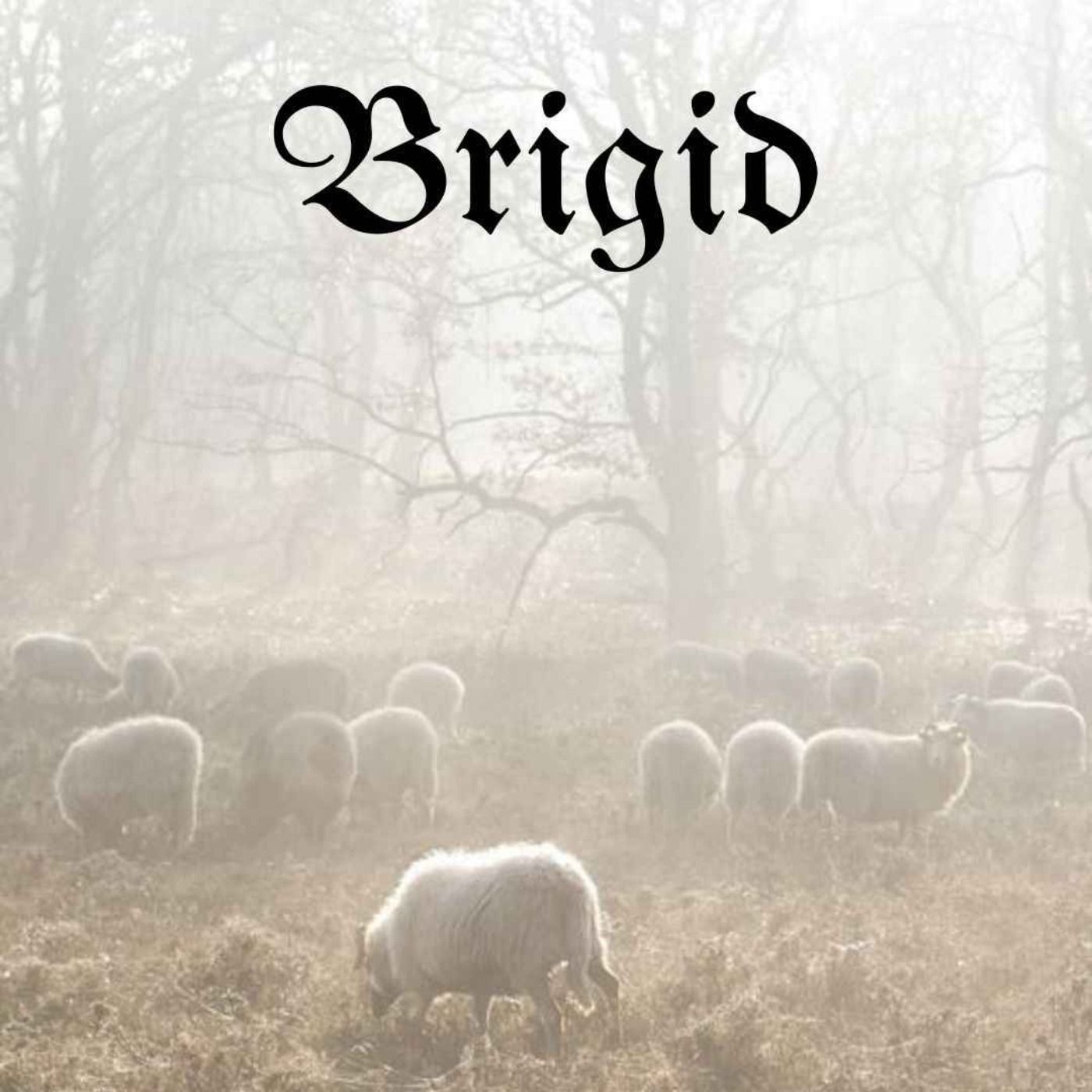 The White Witch Podcast