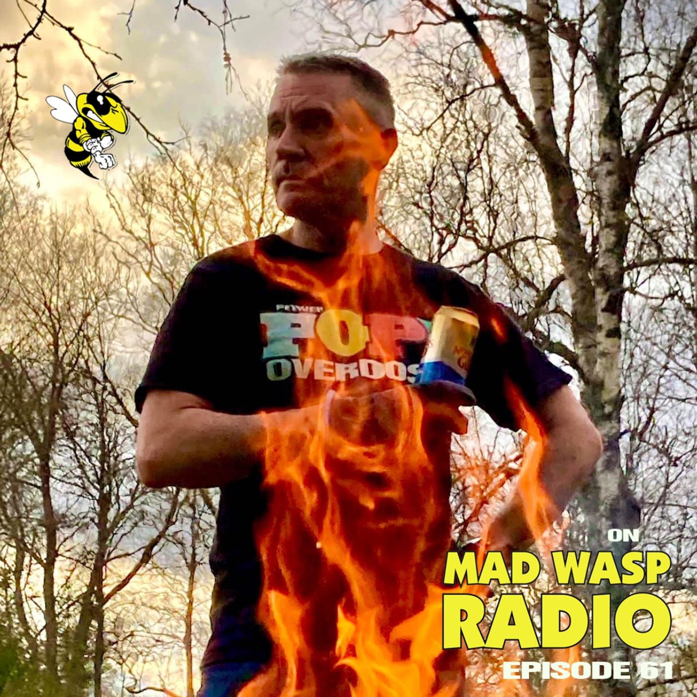 Power Pop Overdose on Mad Wasp Radio 61 11/12/2022 episode artwork