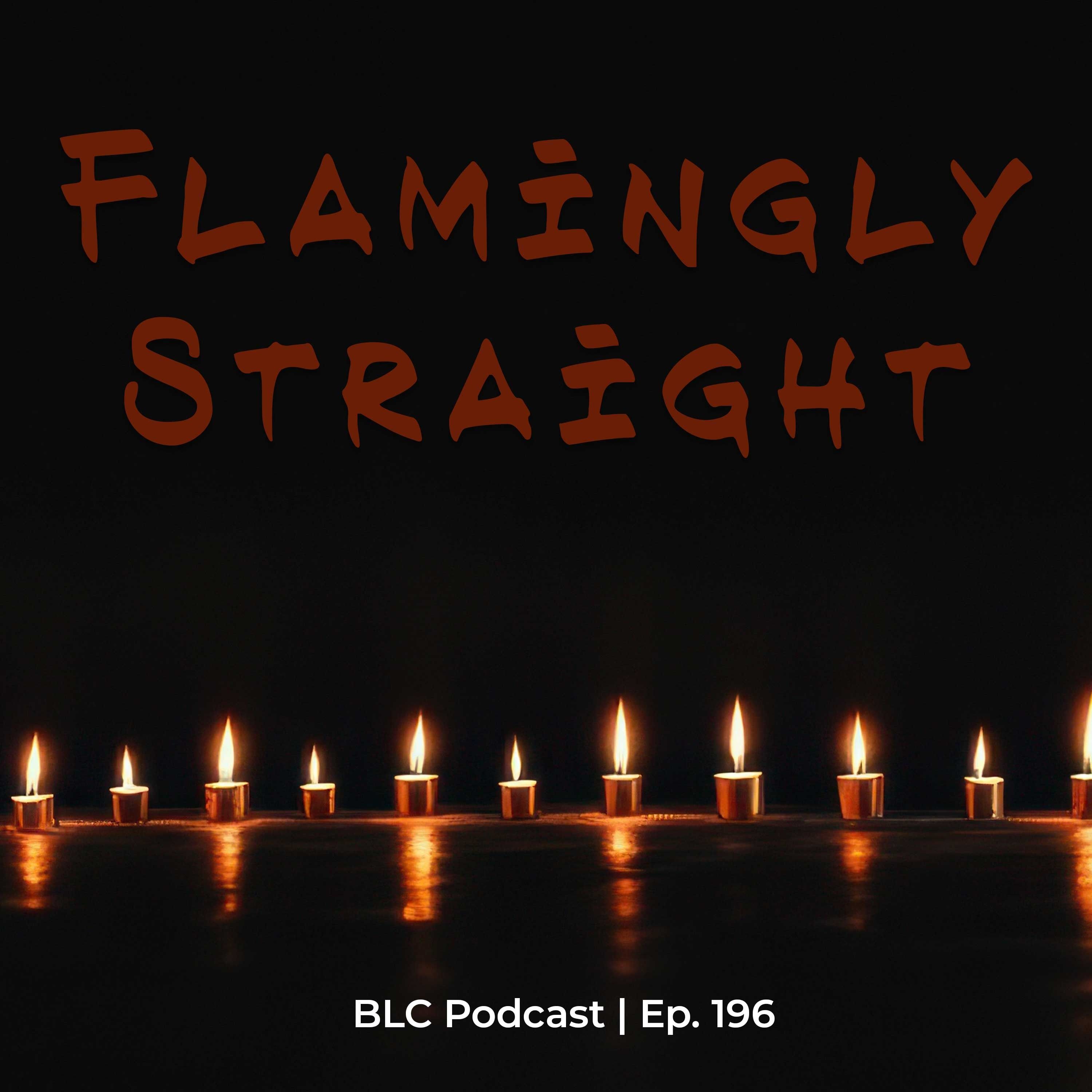 Flamingly Straight, Hetero Fest and Elon Musk