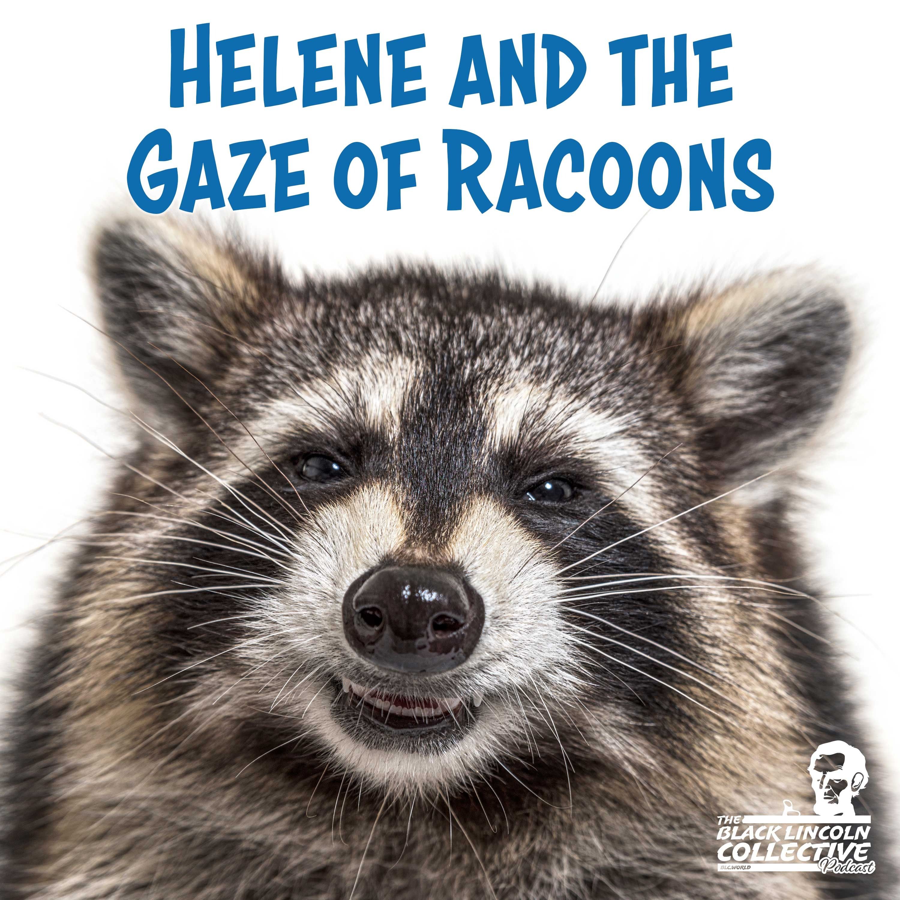 Helene and The Gaze of Racoons  |  Black Lincoln Collective Comedy Podcast episode artwork
