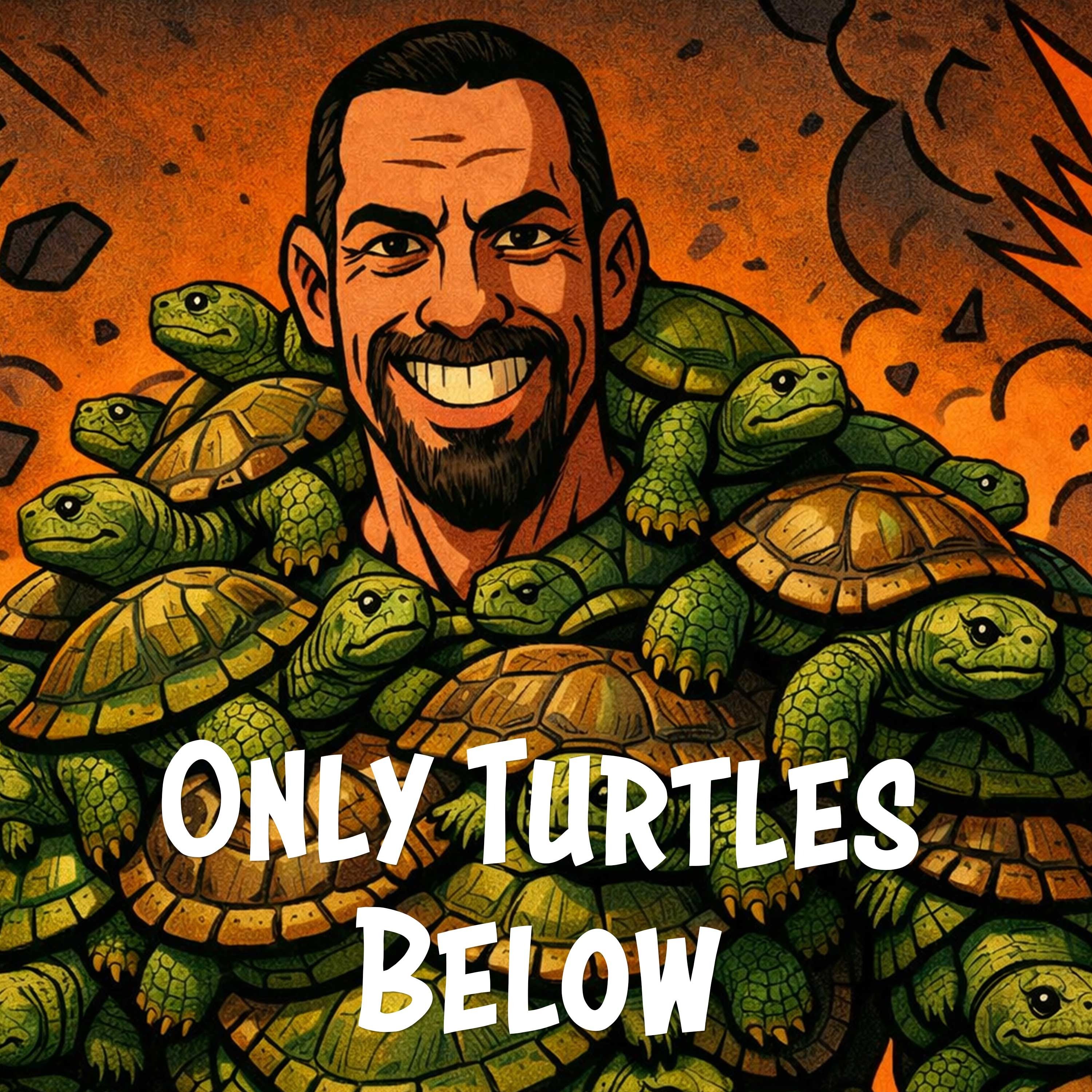 Only Turtles Below | America's Favorite Podcast episode artwork