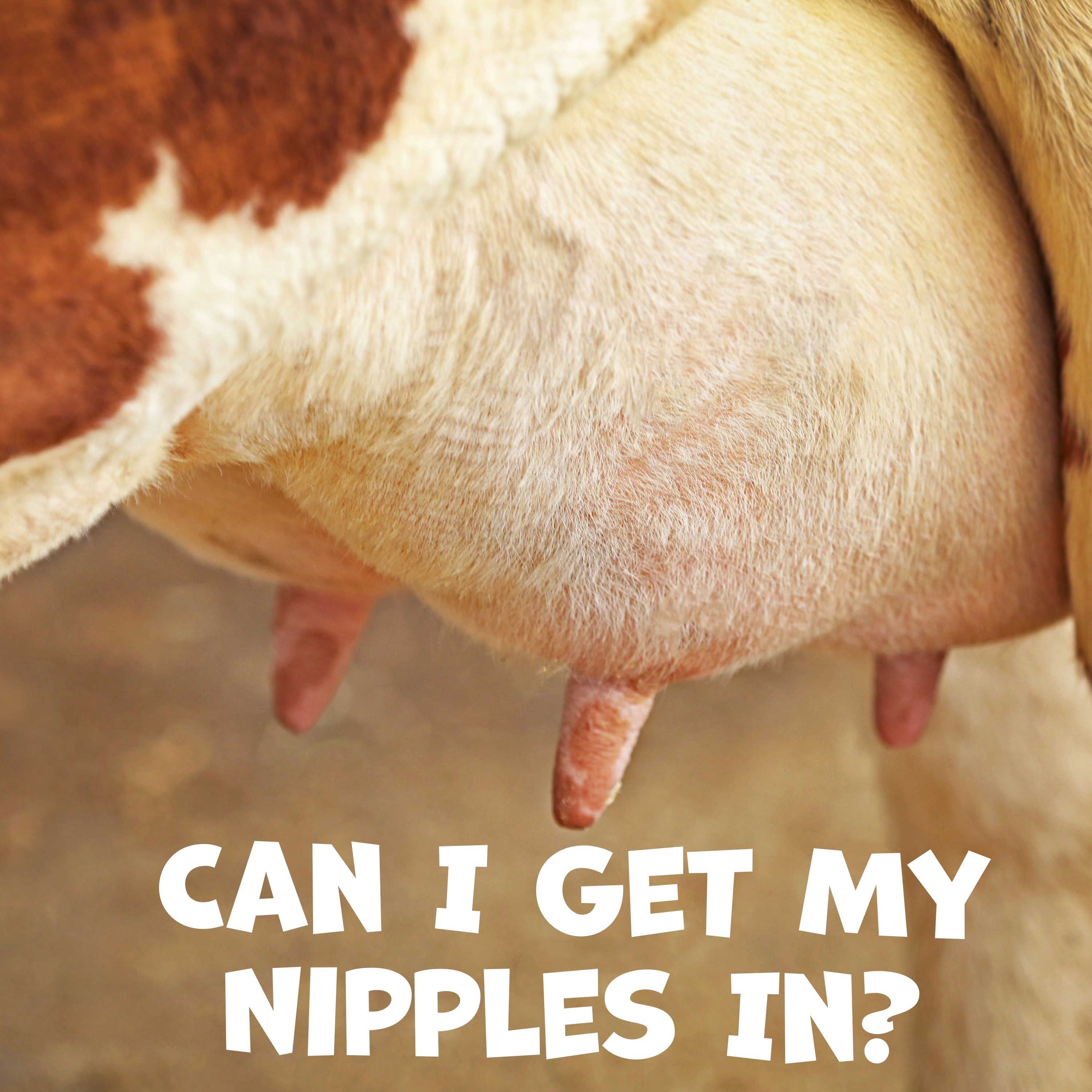 Can I Get My Nipples In?  |  Black Lincoln Collective Podcast episode artwork