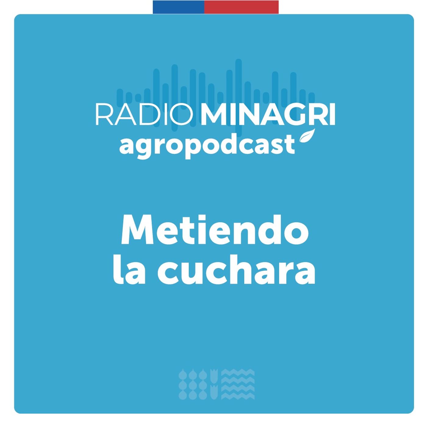 Metiendo la cuchara – Episodio 90: Conservar para no desperdiciar: sabor y sustentabilidad episode artwork