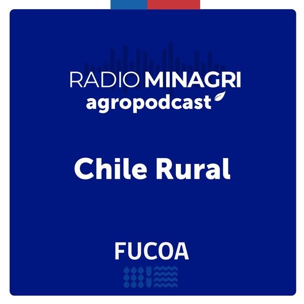 Chile Rural – Episodio 320: CNR abre concurso por más de $6.500 millones para rehabilitar obras de riego afectadas por sistemas frontales