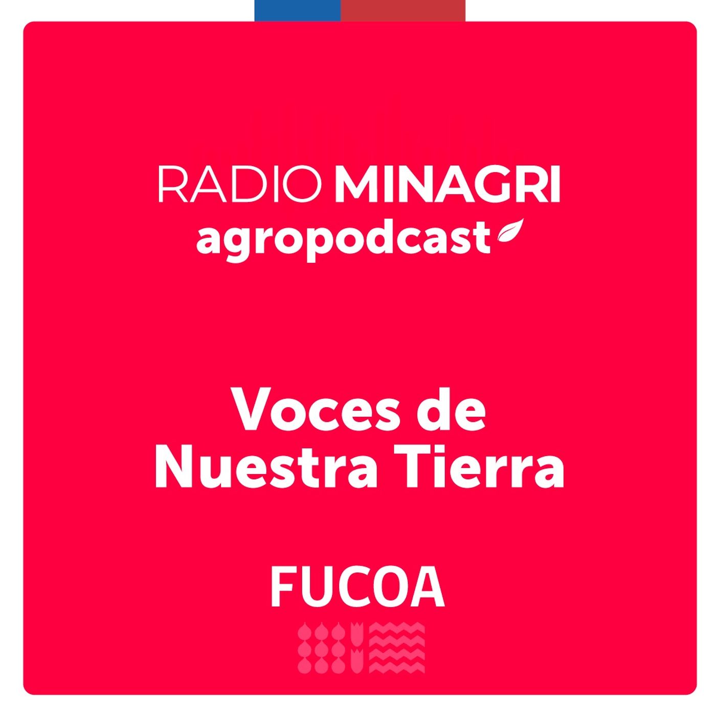 Voces de nuestra tierra – Episodio 3: Kuyenray: tradición y memoria en cada tejido