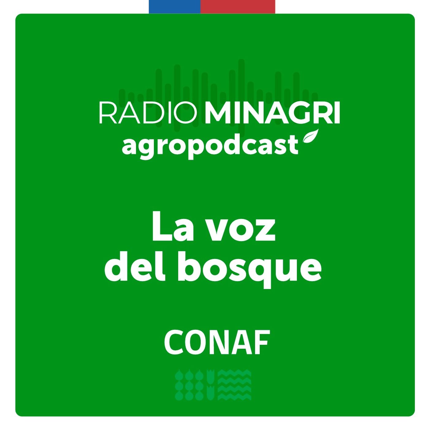 La voz del bosque - Episodio 81: Acciones que hoy se están tomando para enfrentar los incendios forestales episode artwork