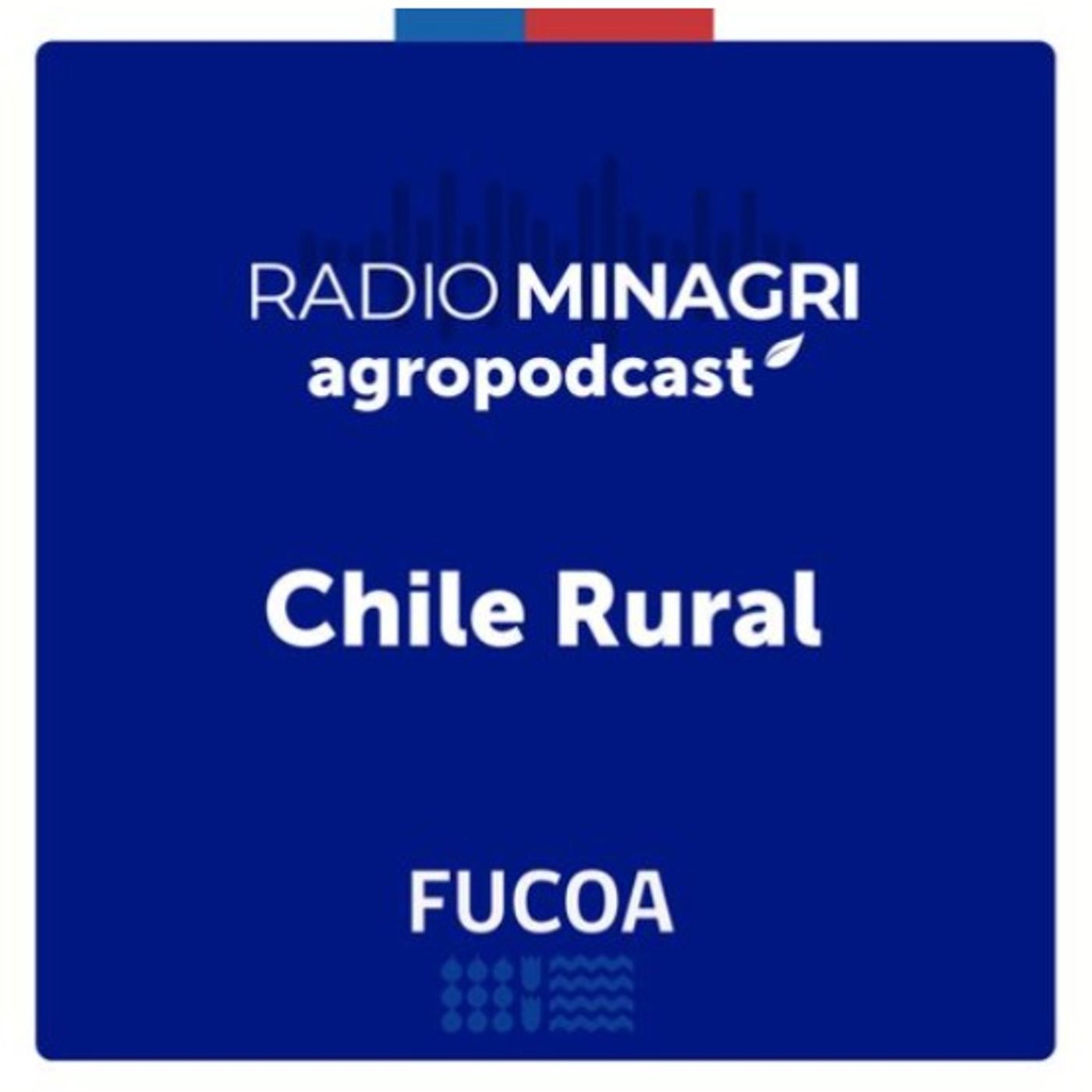 Chile Rural – Episodio 188: Seguro de Enfermedades Exóticas para aves episode artwork