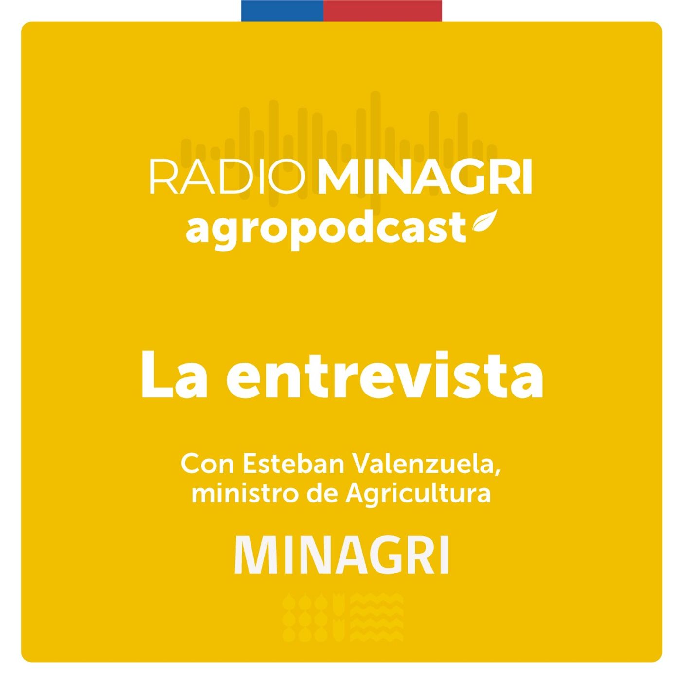La Entrevista – Episodio 5: Ministro Nicolás Grau y el desarrollo económico rural episode artwork