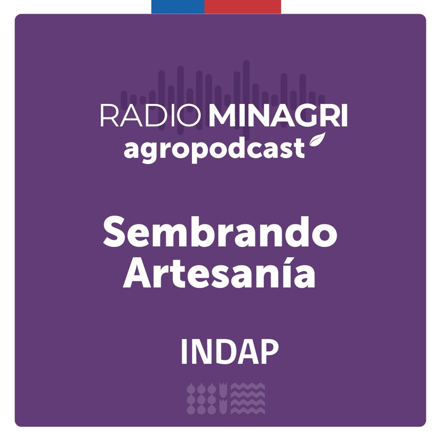 Sembrando artesanía – Episodio 78: El impulso de la artesanía en la región de Los Ríos episode artwork
